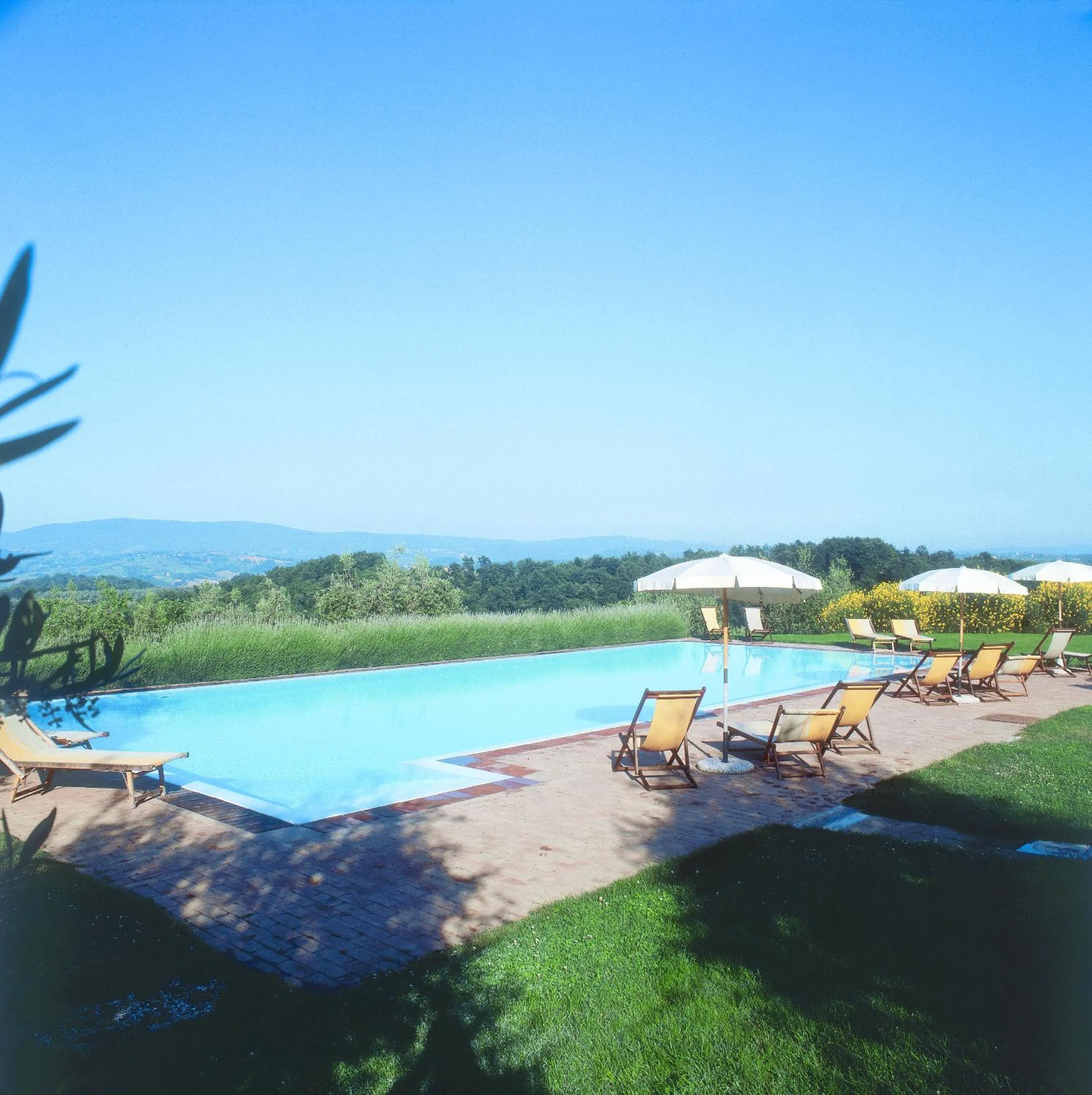 Garden in Podere Il Pino