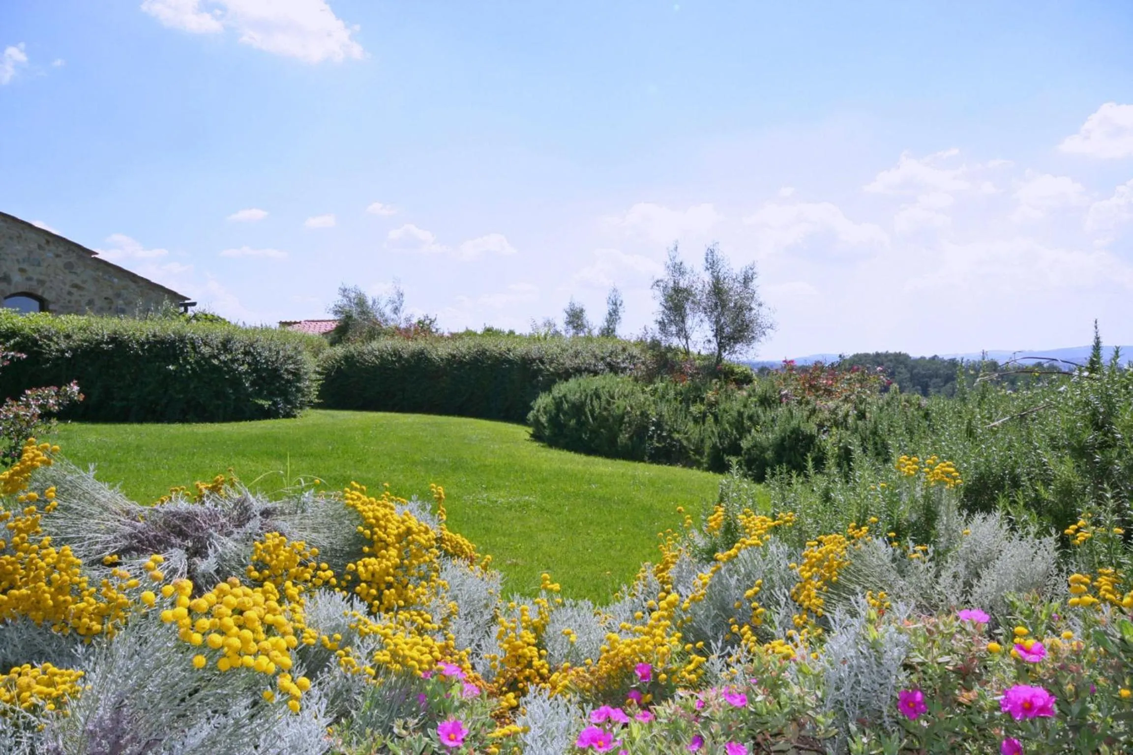 Day in Podere Il Pino