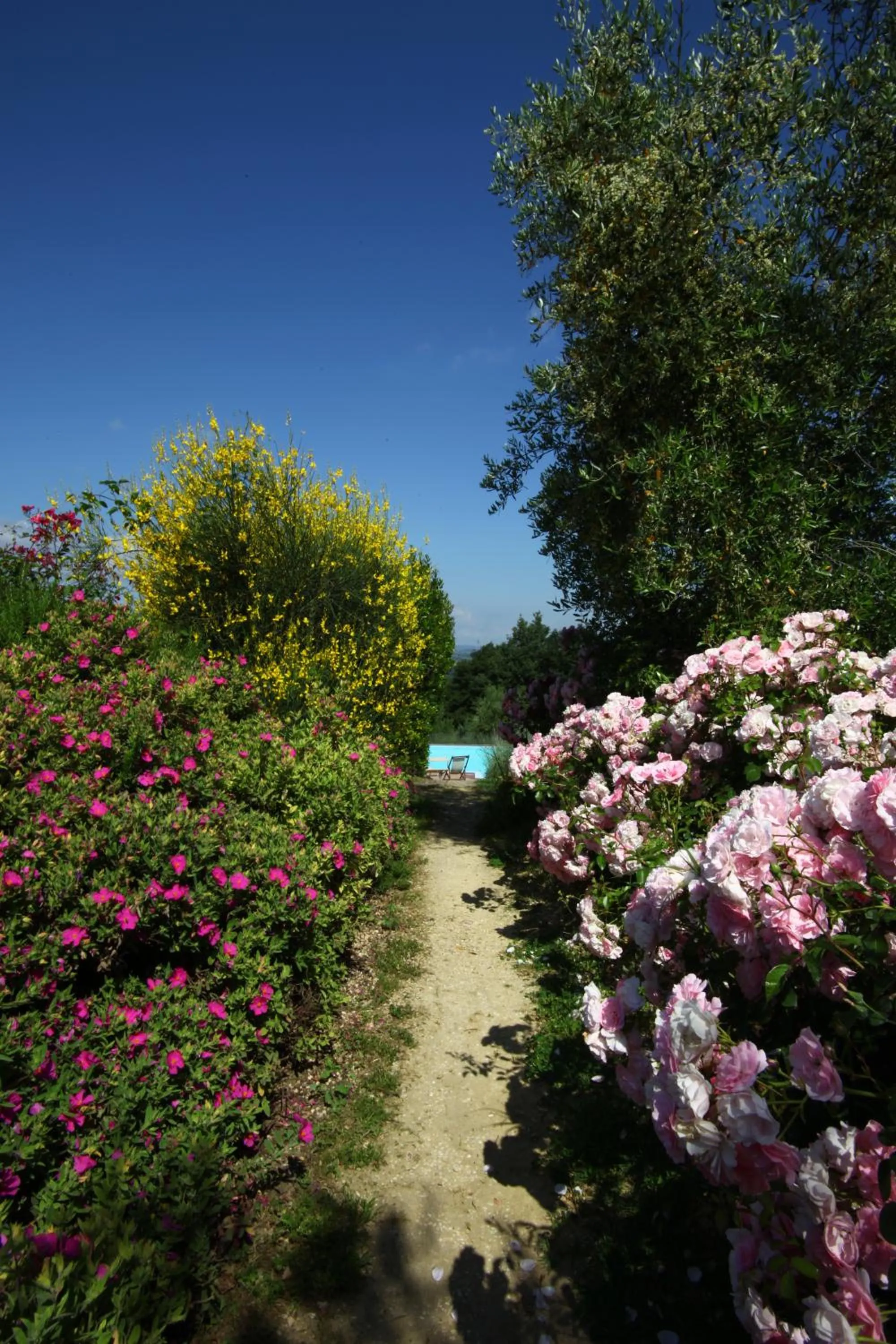 Garden in Podere Il Pino