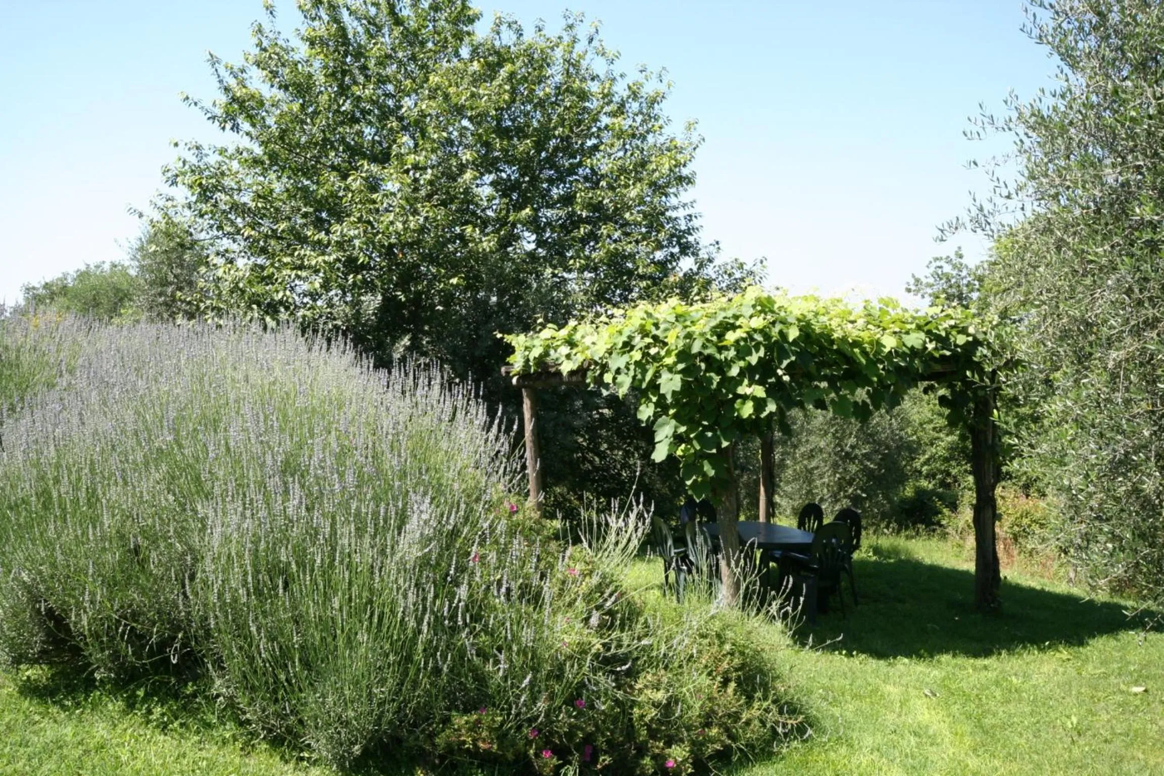 Patio in Podere Il Pino