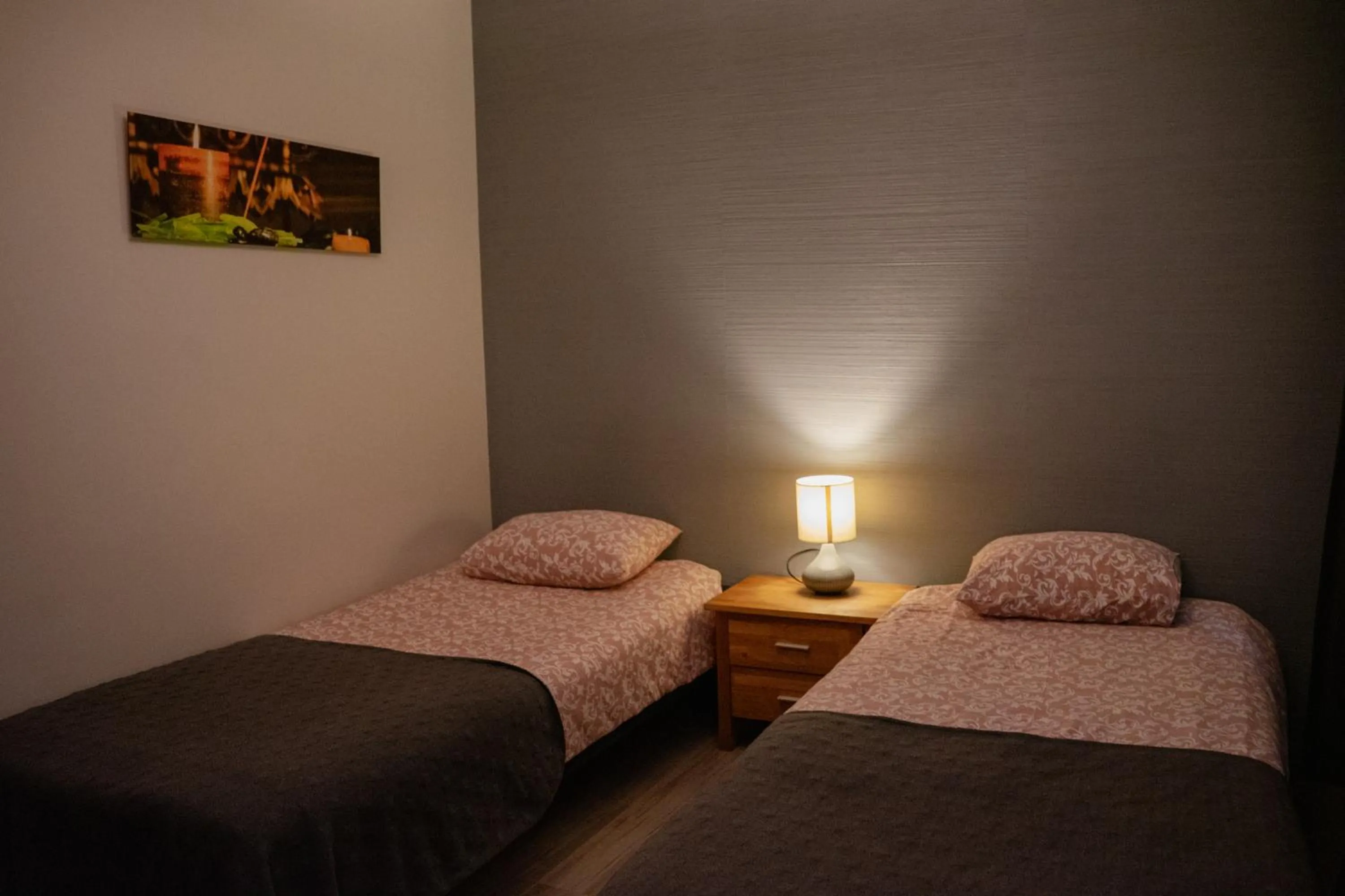 Twin Room - single occupancy in Hostel Ingeri