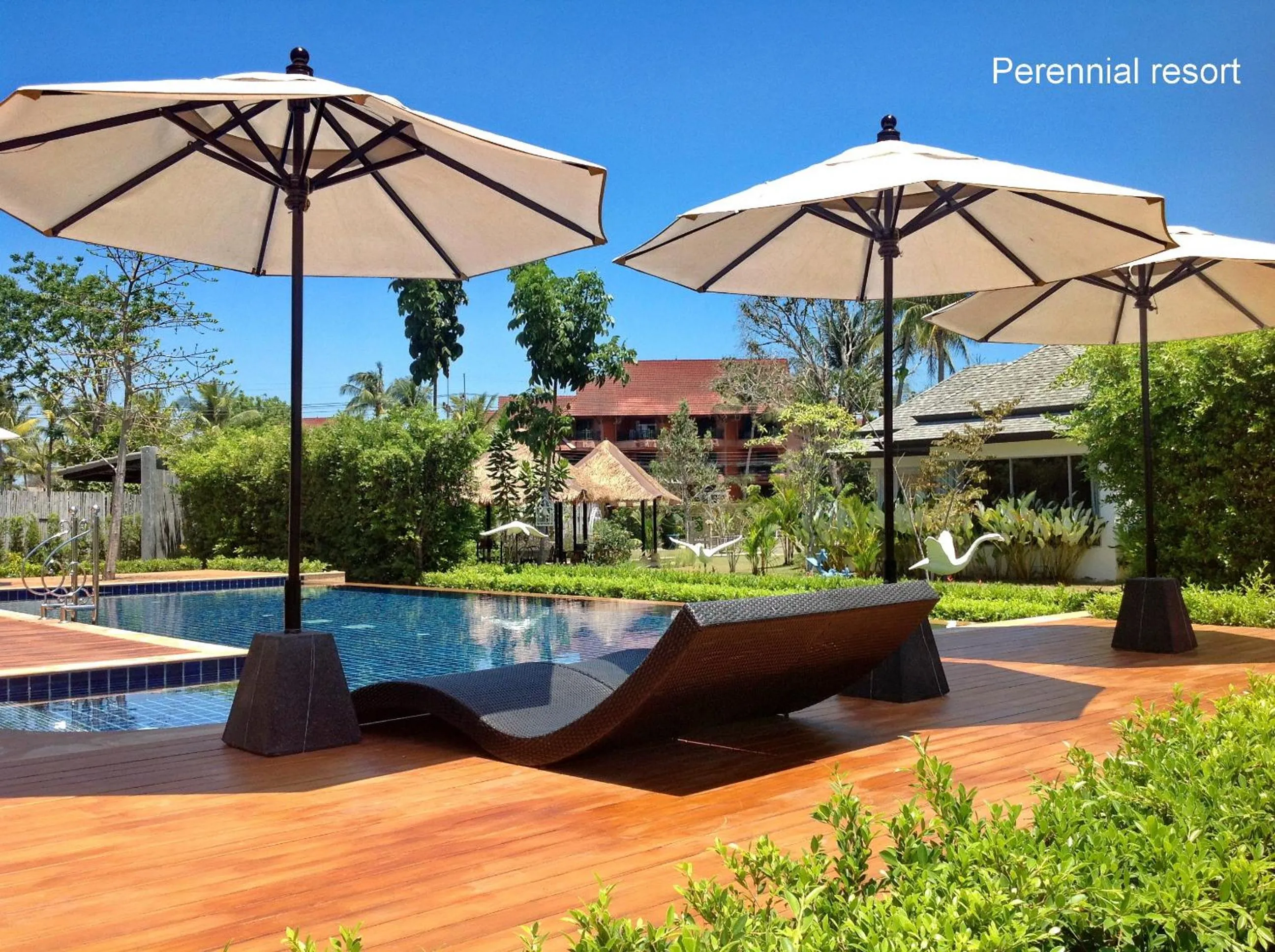 Swimming pool in Perennial Resort