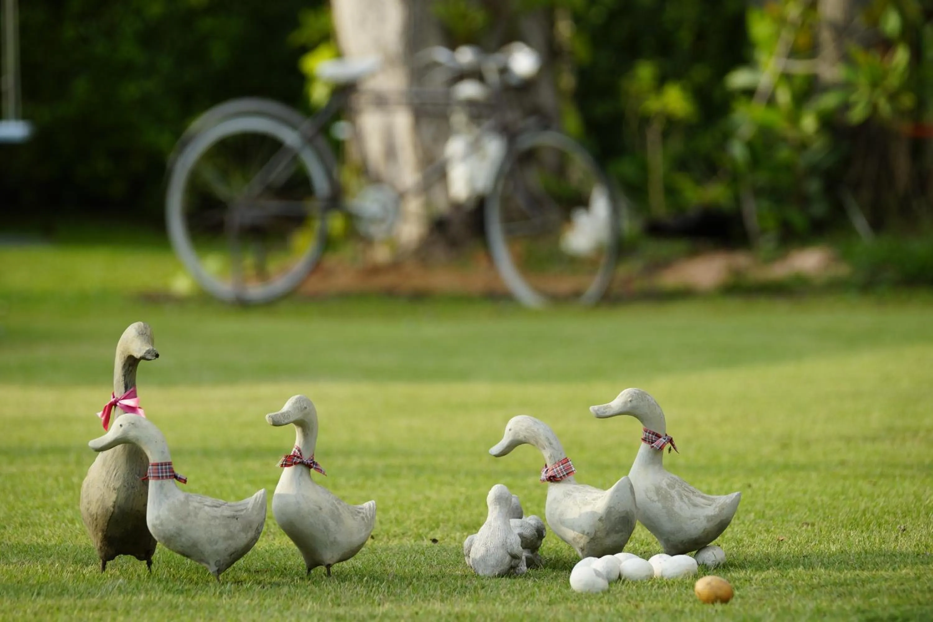 Garden in Perennial Resort