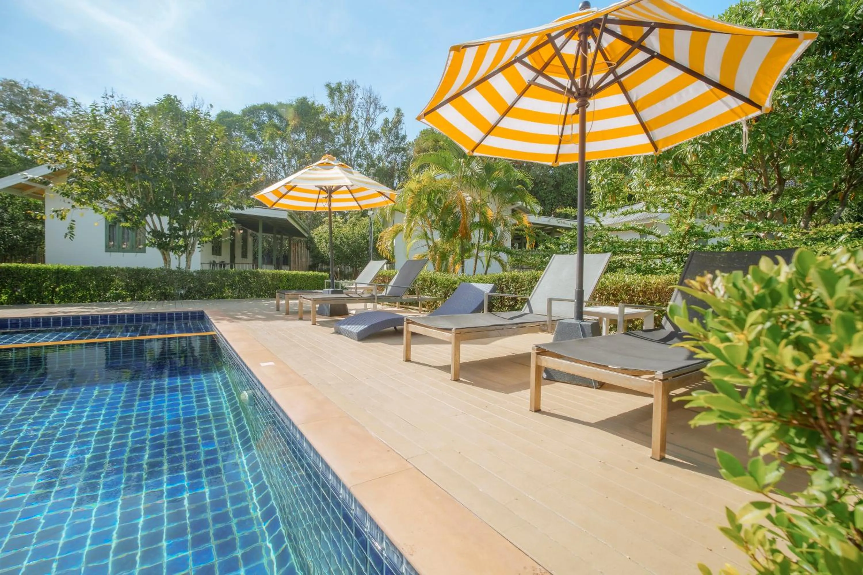 Swimming pool in Perennial Resort