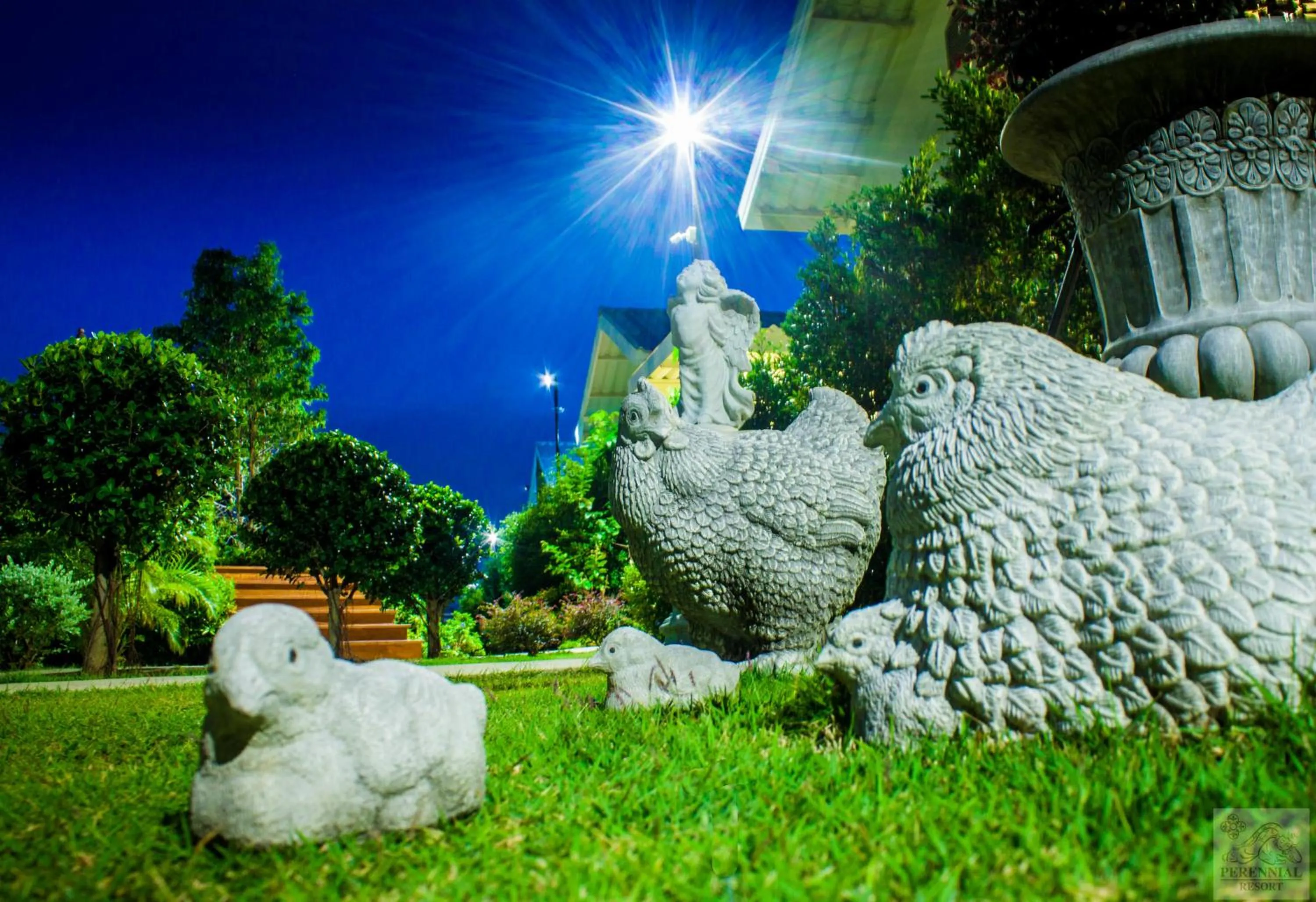 Garden in Perennial Resort