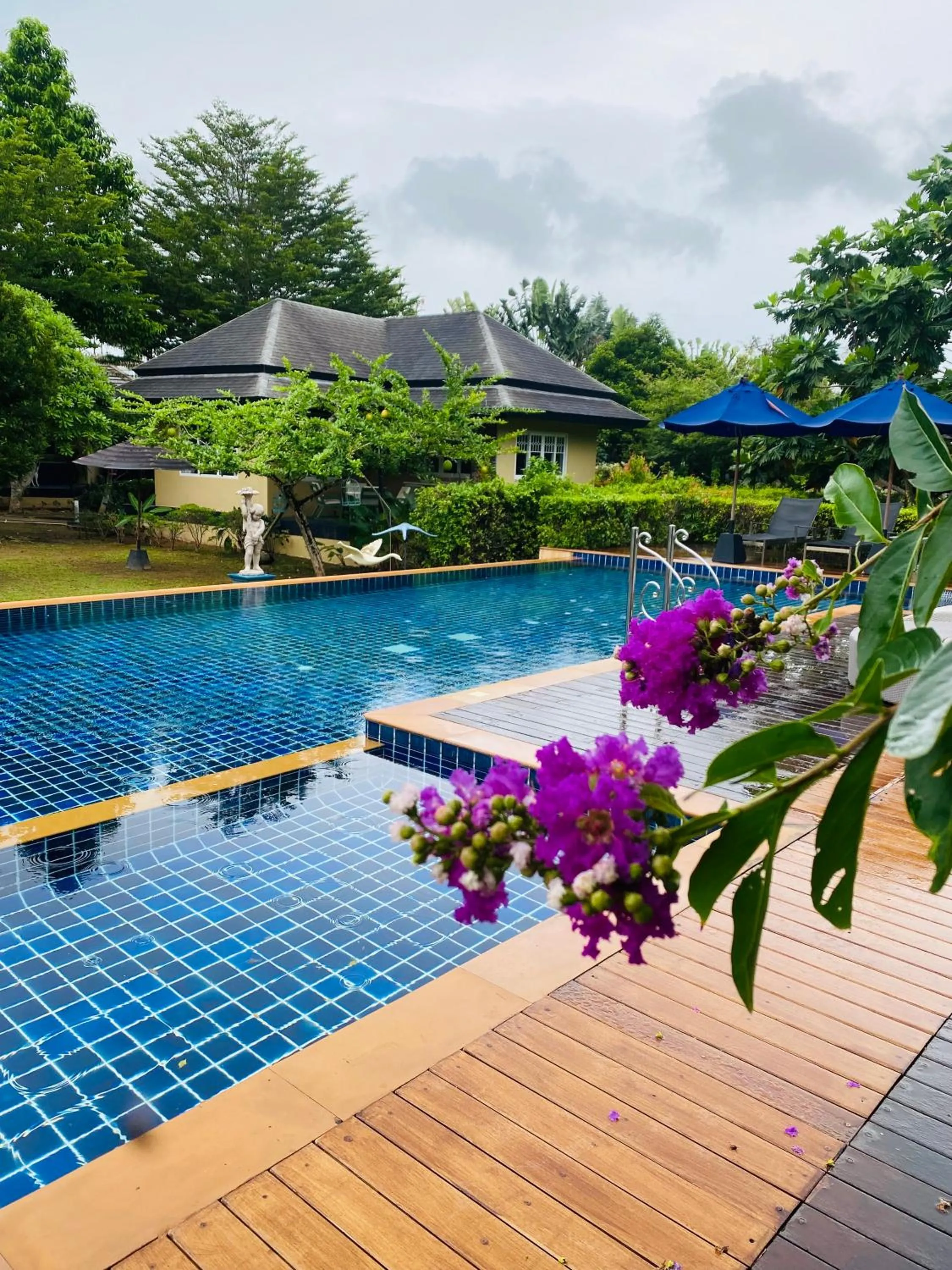 Swimming pool in Perennial Resort