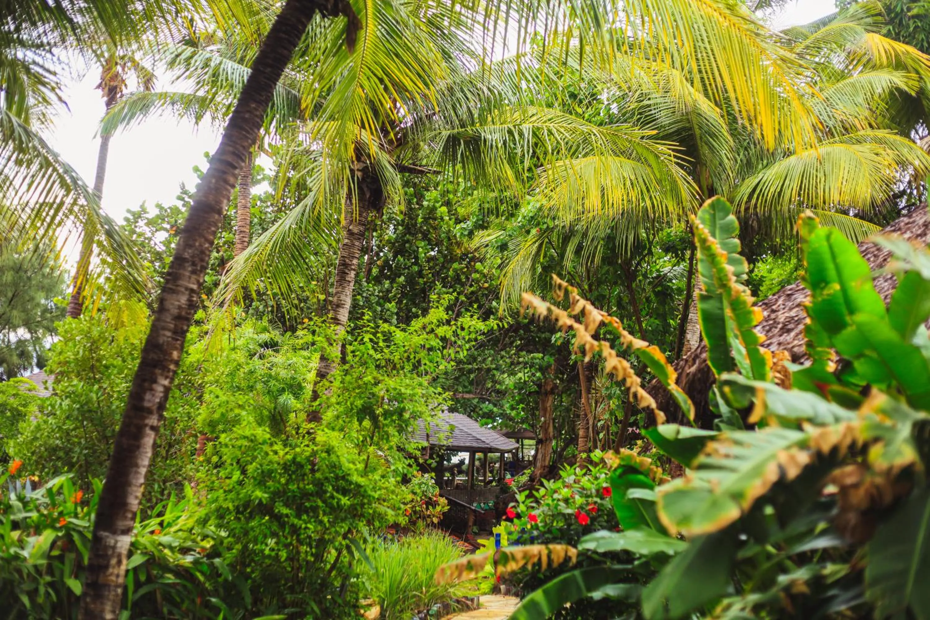 Garden in Ocas do Índio Hotel Spa