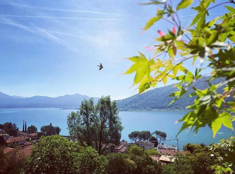 Natural landscape in Giuseppe B&B