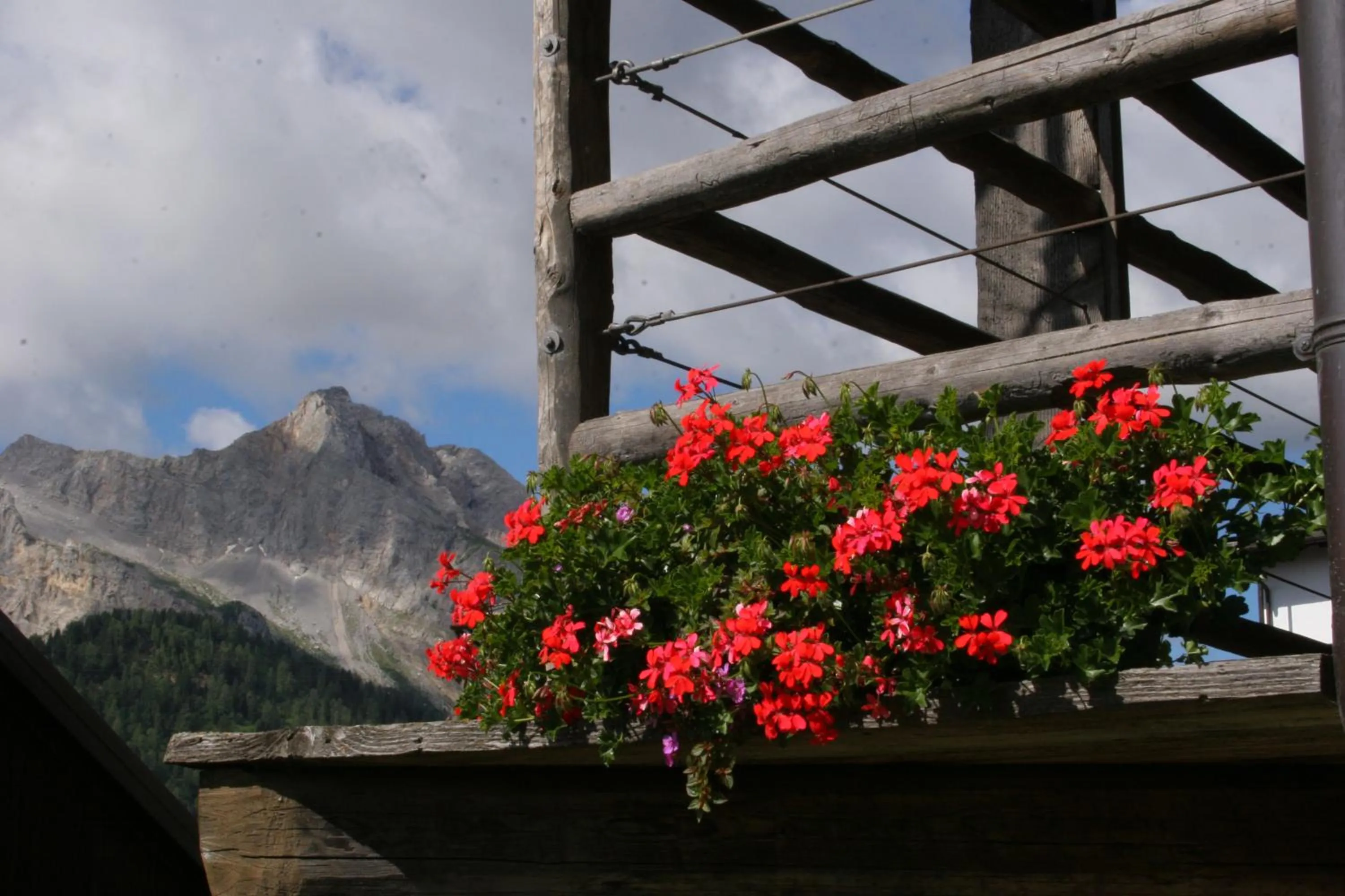 Decorative detail in Albergo Diffuso Sauris in Sauris Di Sopra