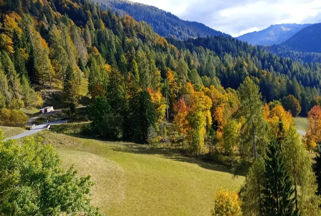 Albergo Diffuso Sauris in Sauris Di Sopra