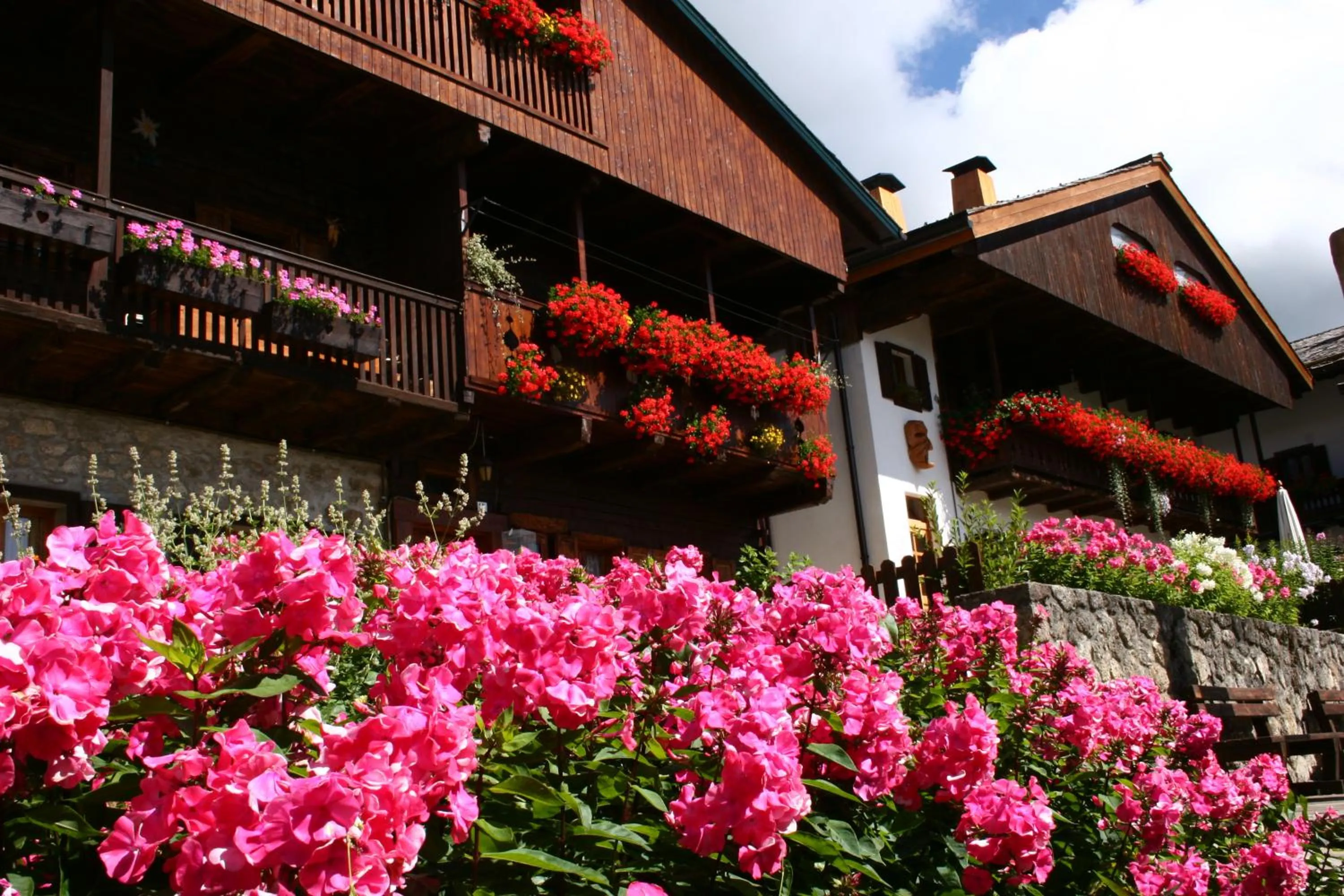 Property building in Albergo Diffuso Sauris in Sauris Di Sopra