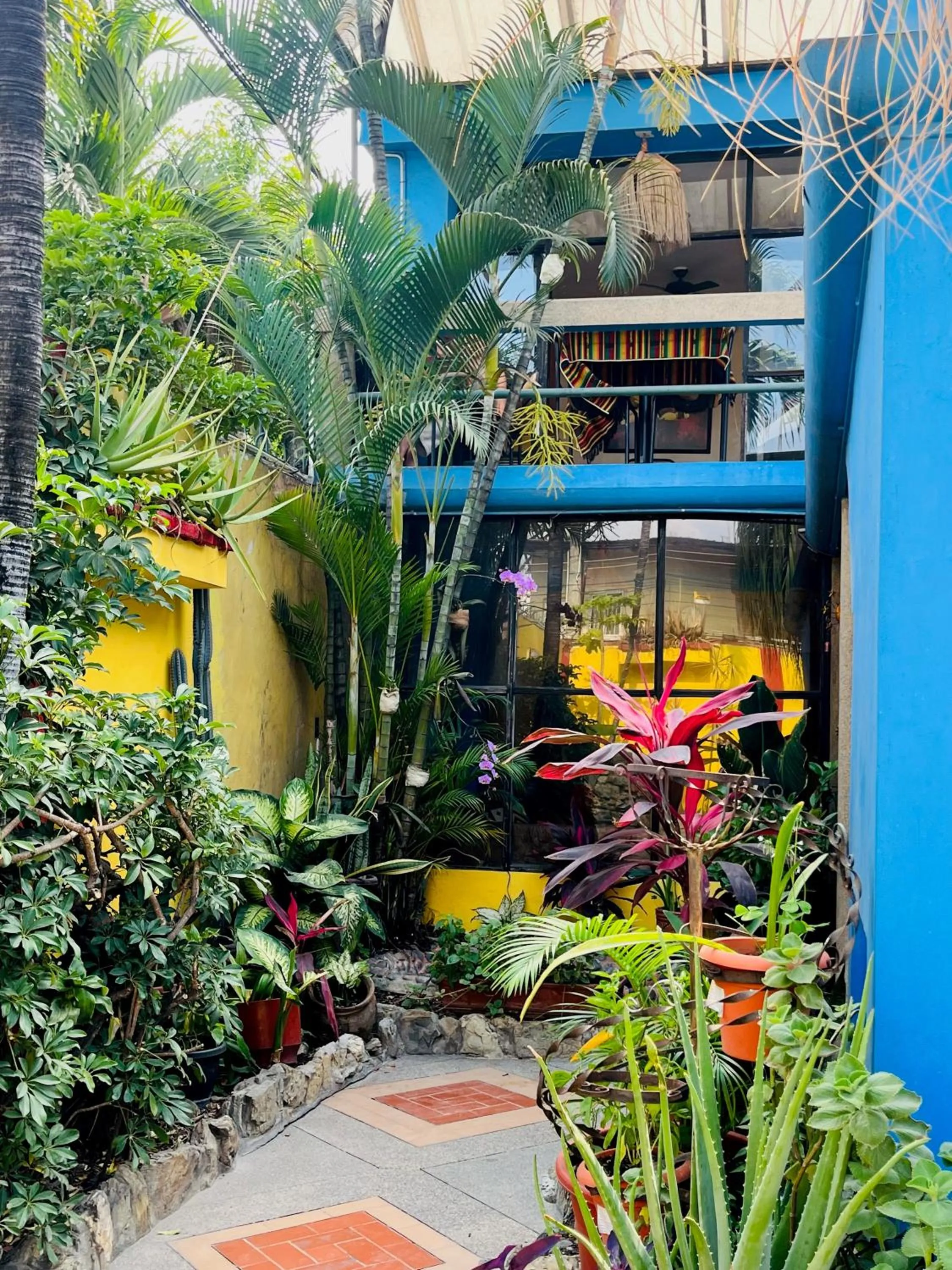 Garden in Dreamkapture Hostel close to the airport and bus terminal