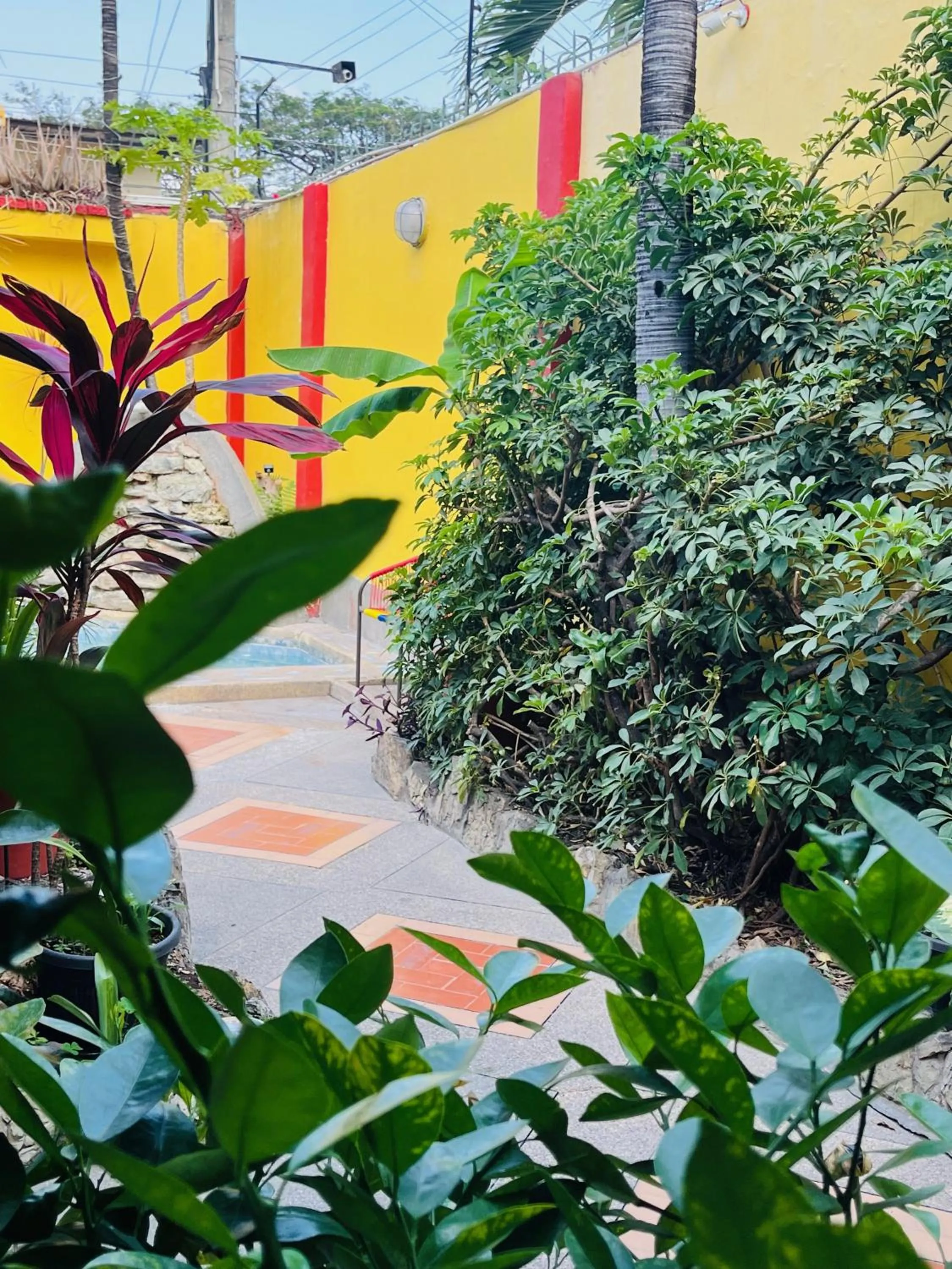 Garden in Dreamkapture Hostel close to the airport and bus terminal