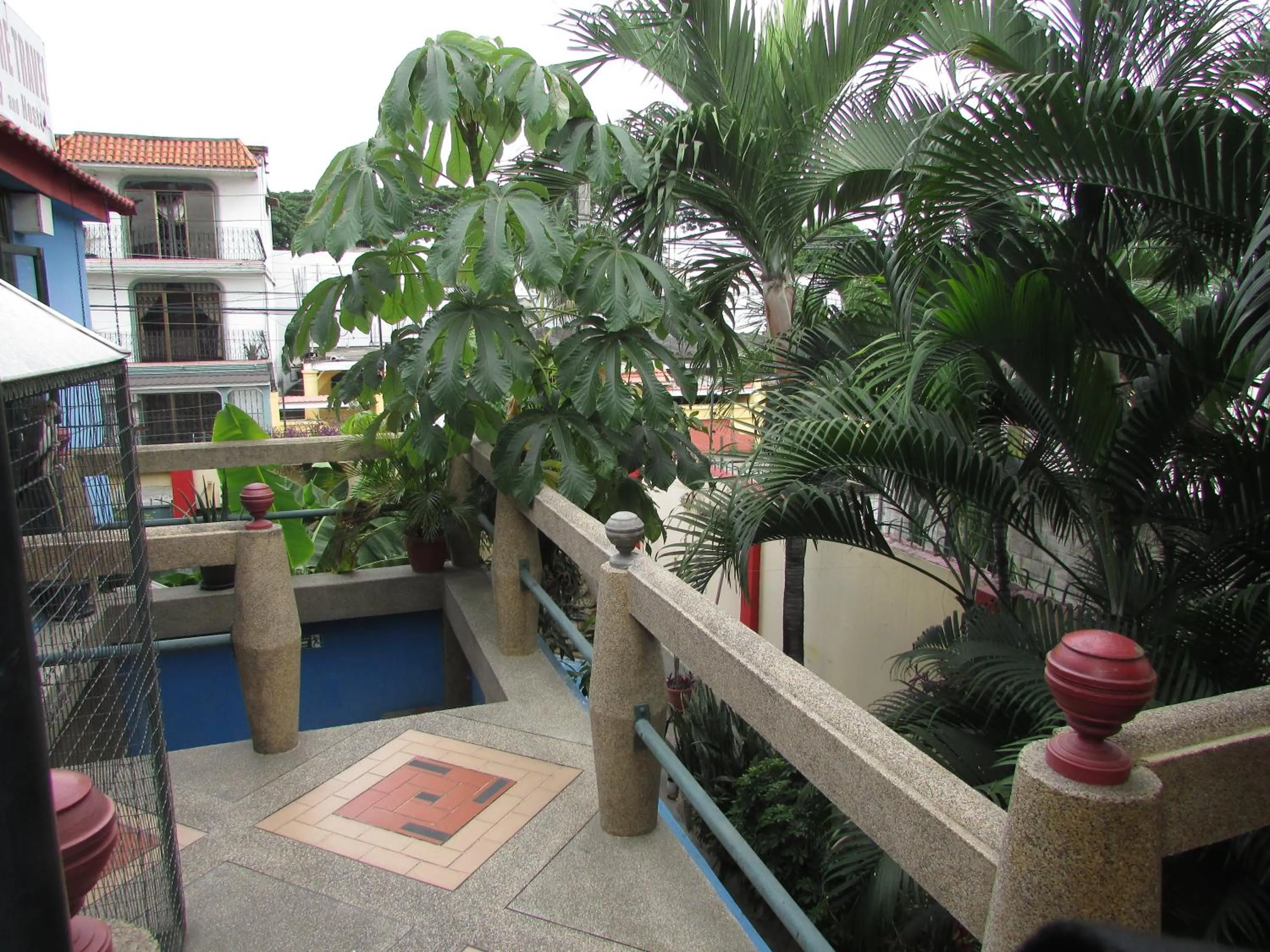 View (from property/room) in Dreamkapture Hostel close to the airport and bus terminal