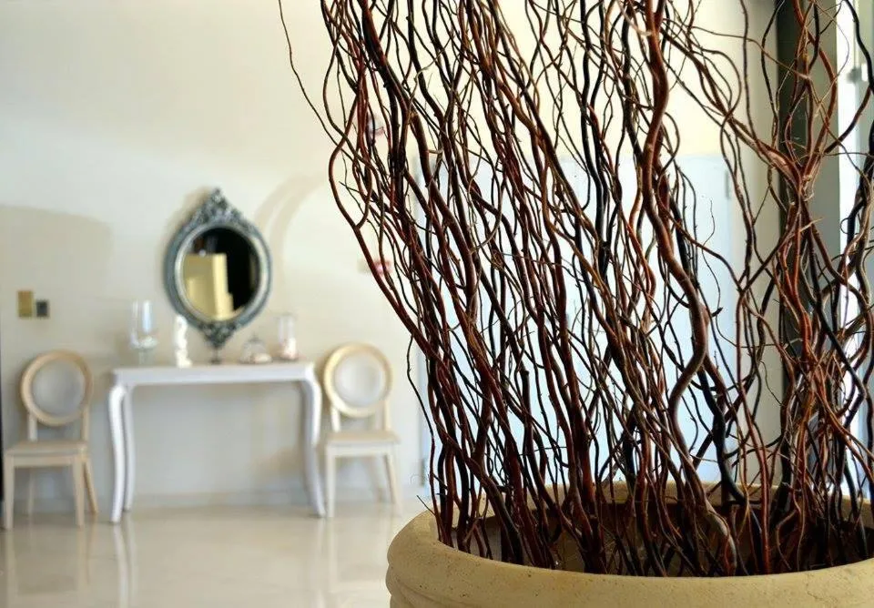 Decorative detail in Evia Hotel & Suites