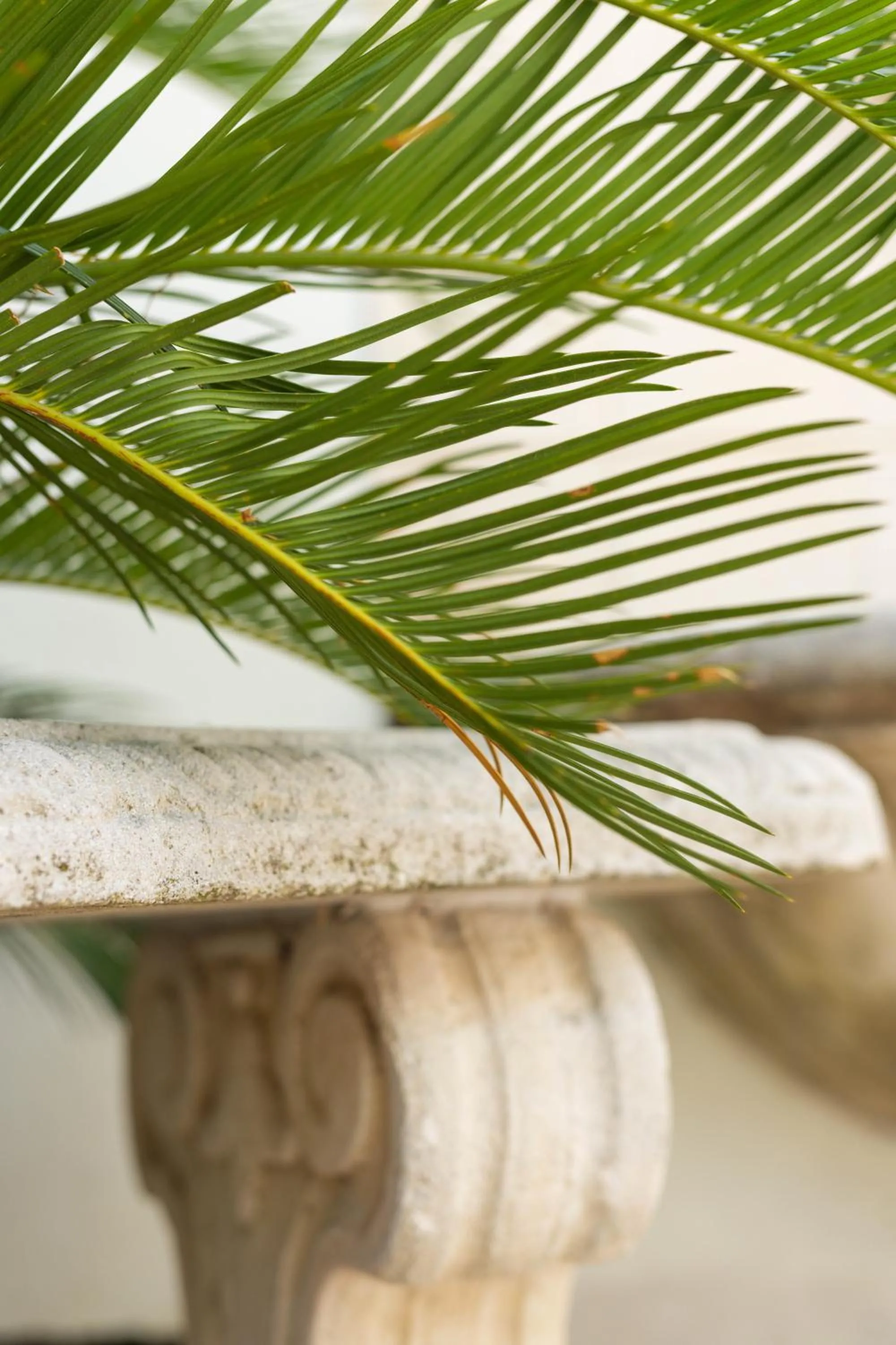 Day in Hotel Verlaine