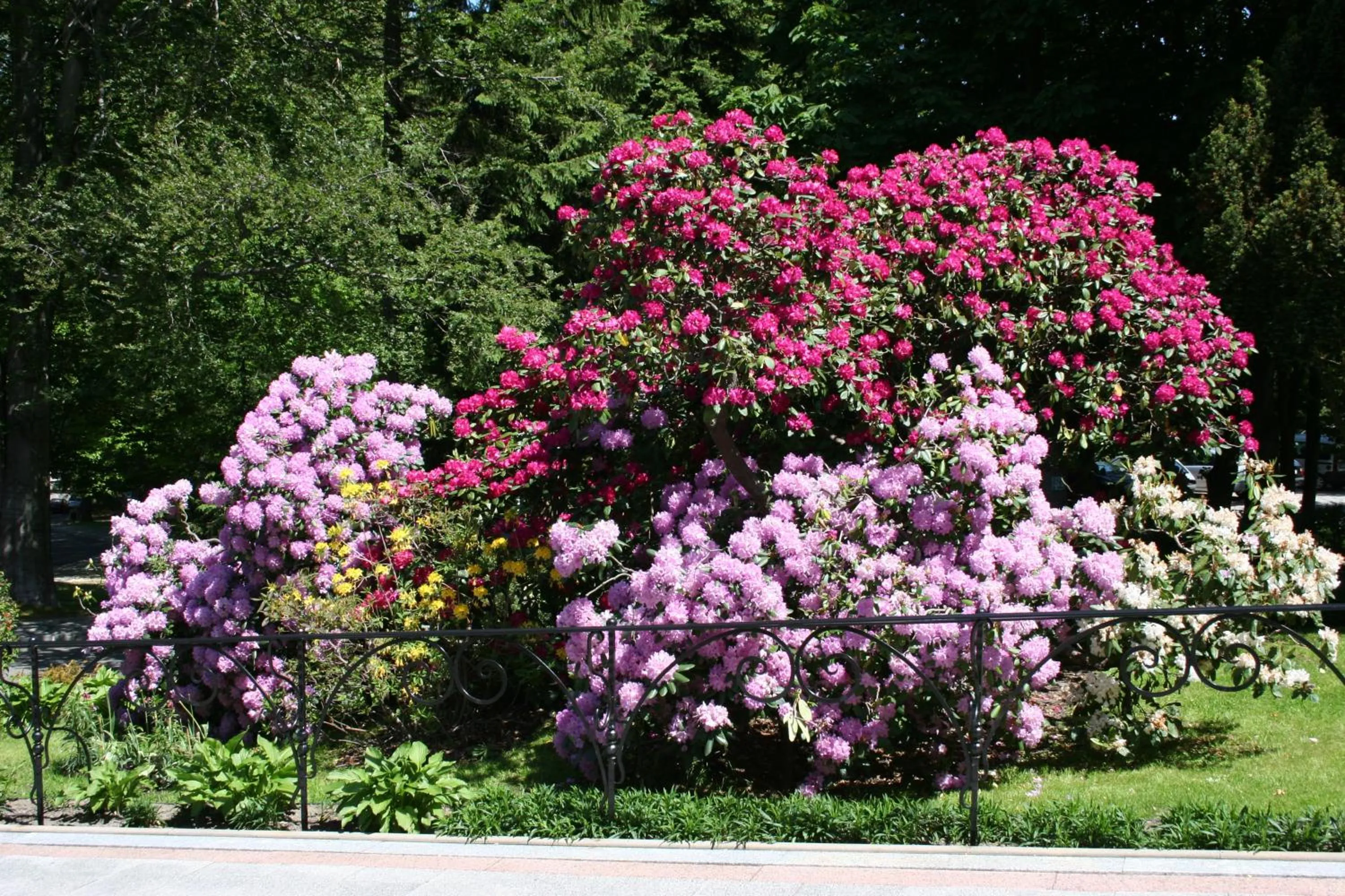 Garden in Park Hotel Kur & Spa
