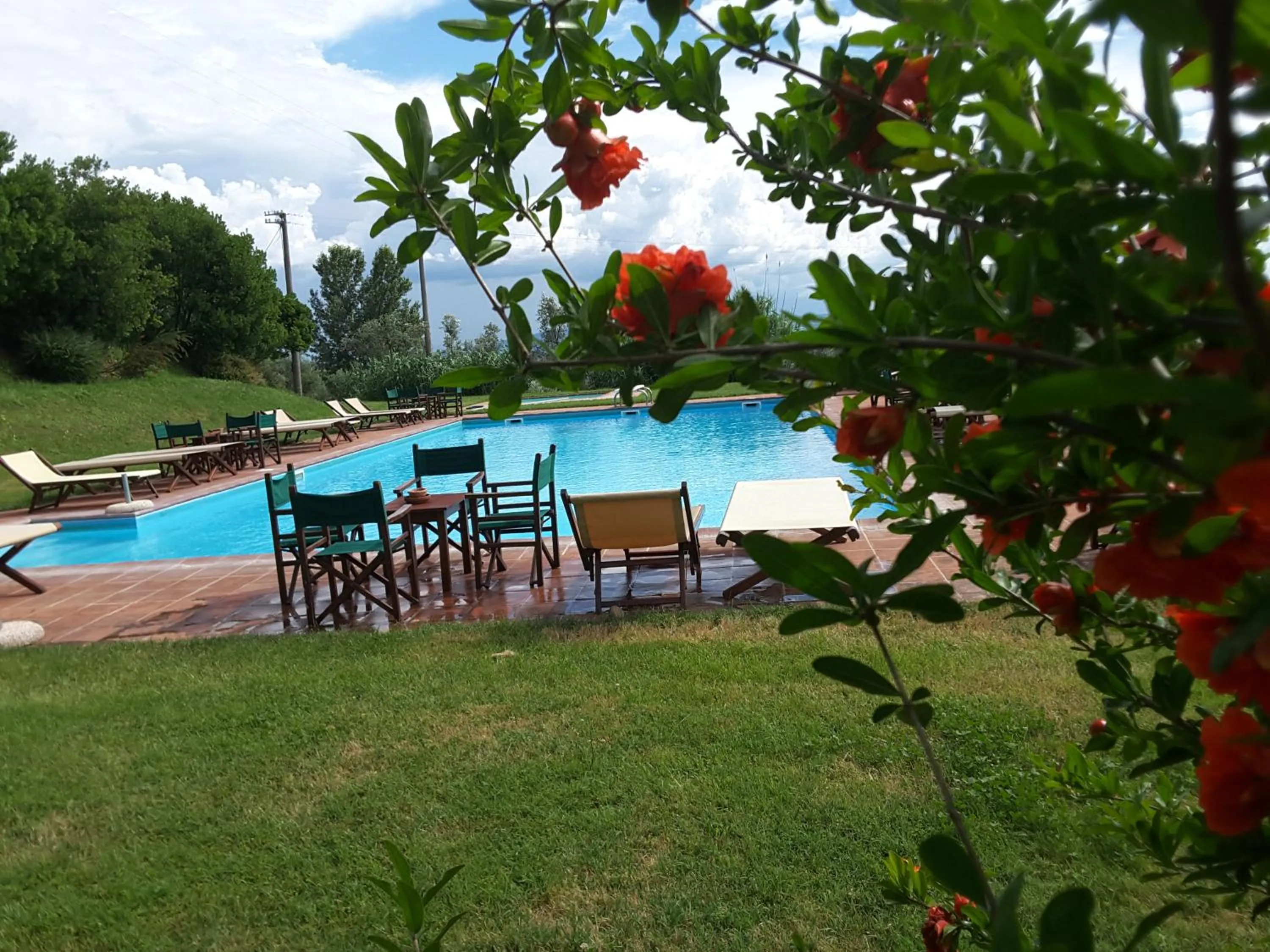 Swimming pool in Fattoria La Gigliola
