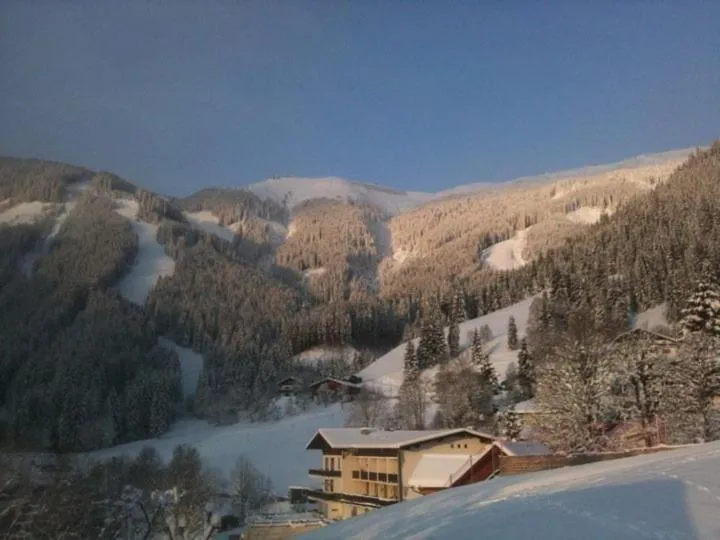 Area and facilities in Appartement Schmiedhof