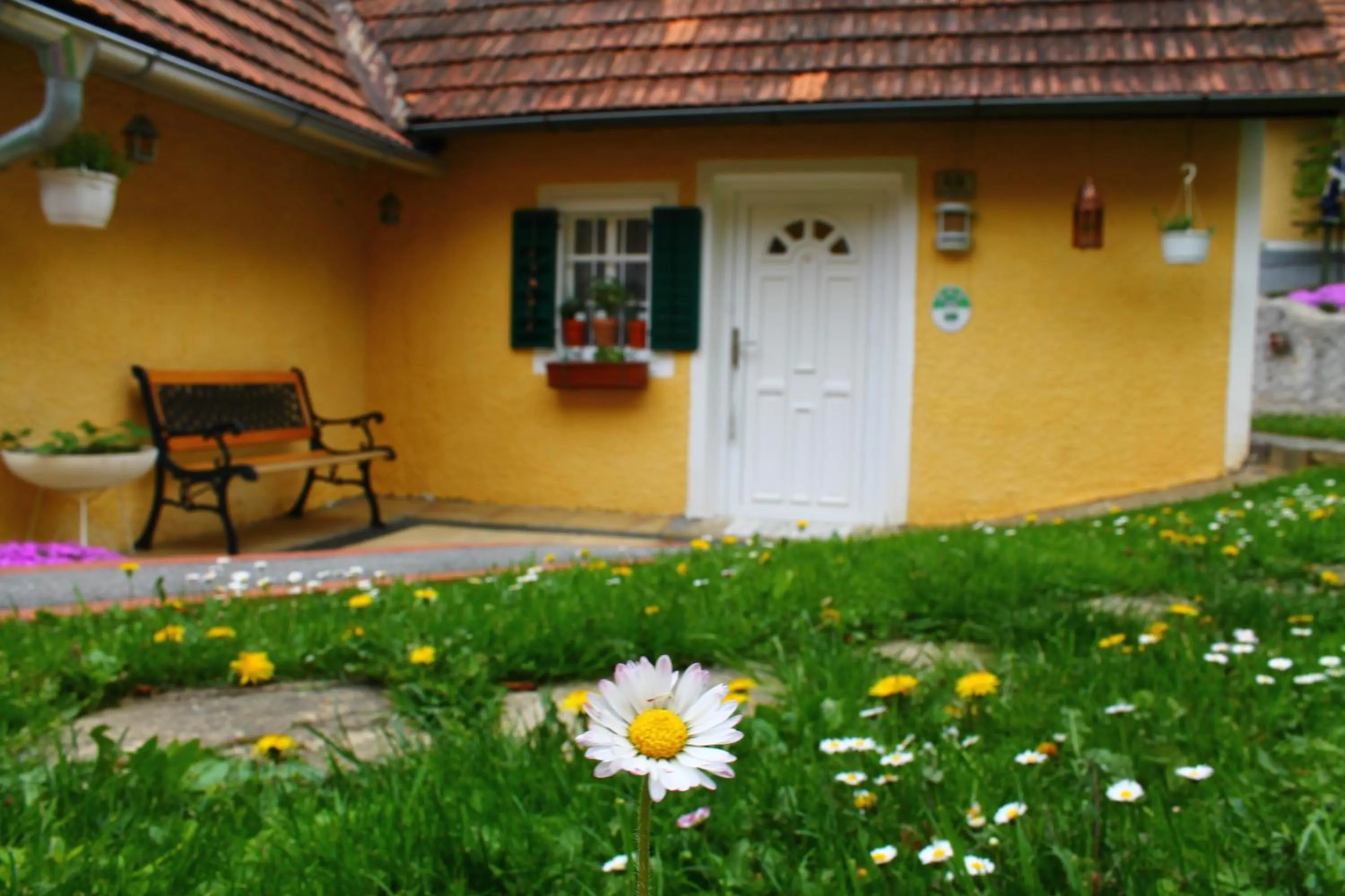 Buchschneider - Ferienhaus Maier - Landhof