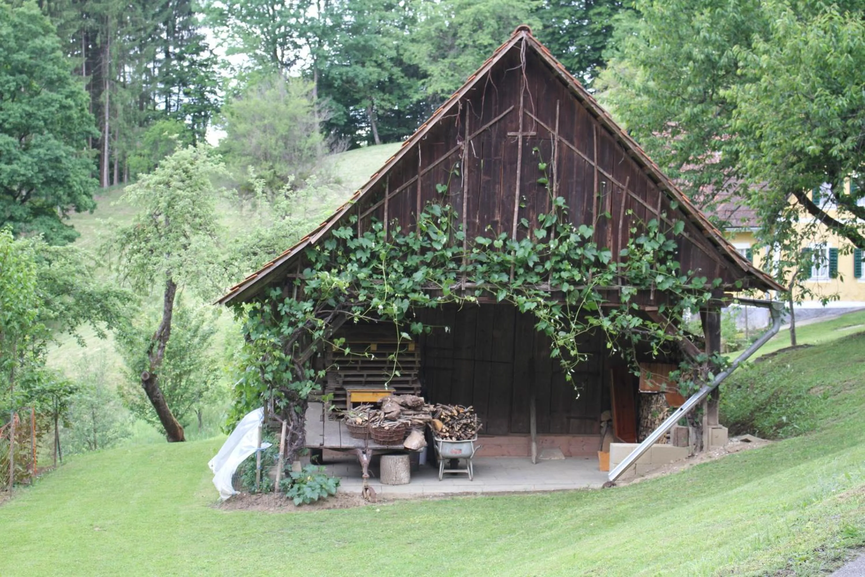 Buchschneider - Ferienhaus Maier - Landhof