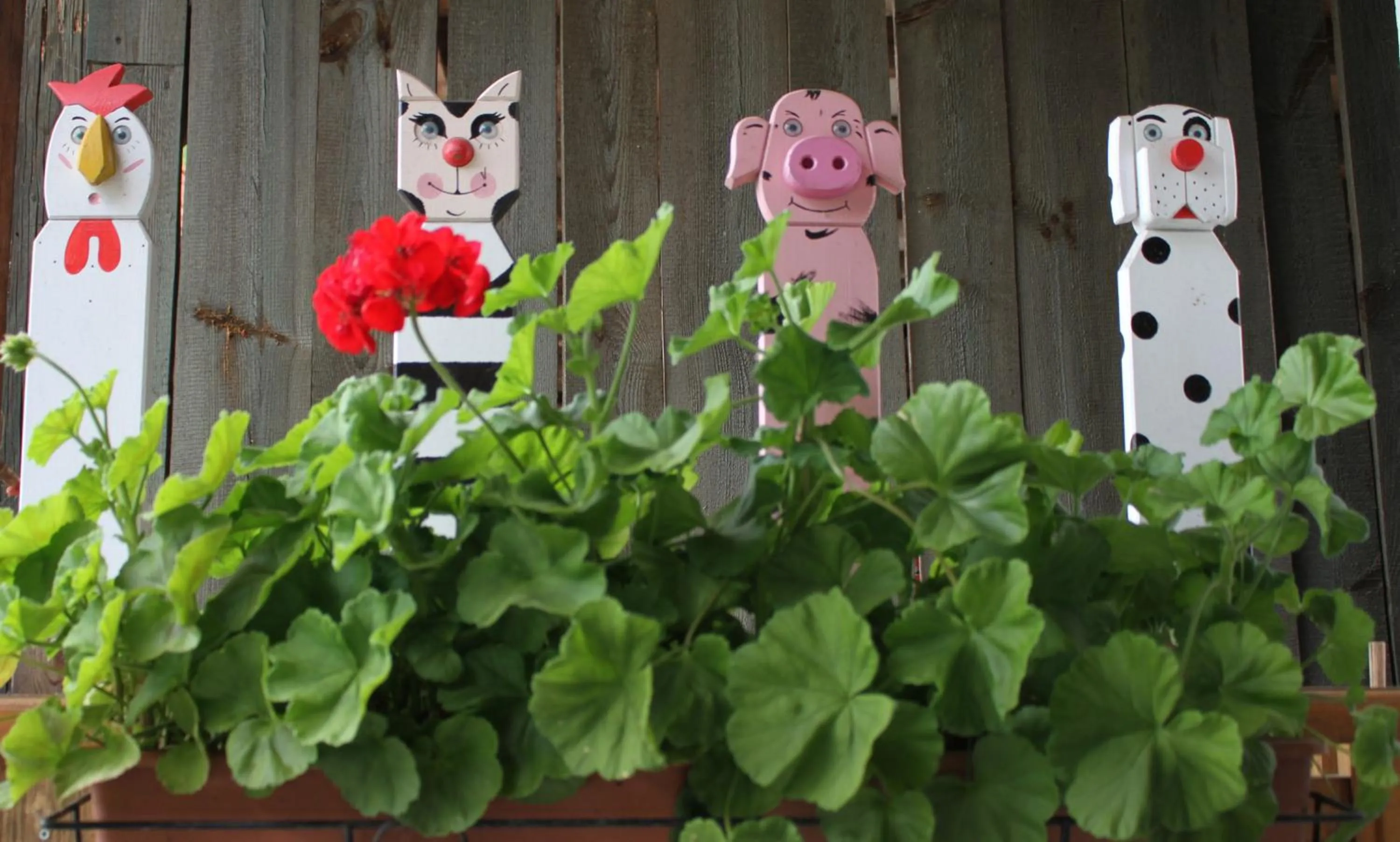 Buchschneider - Ferienhaus Maier - Landhof