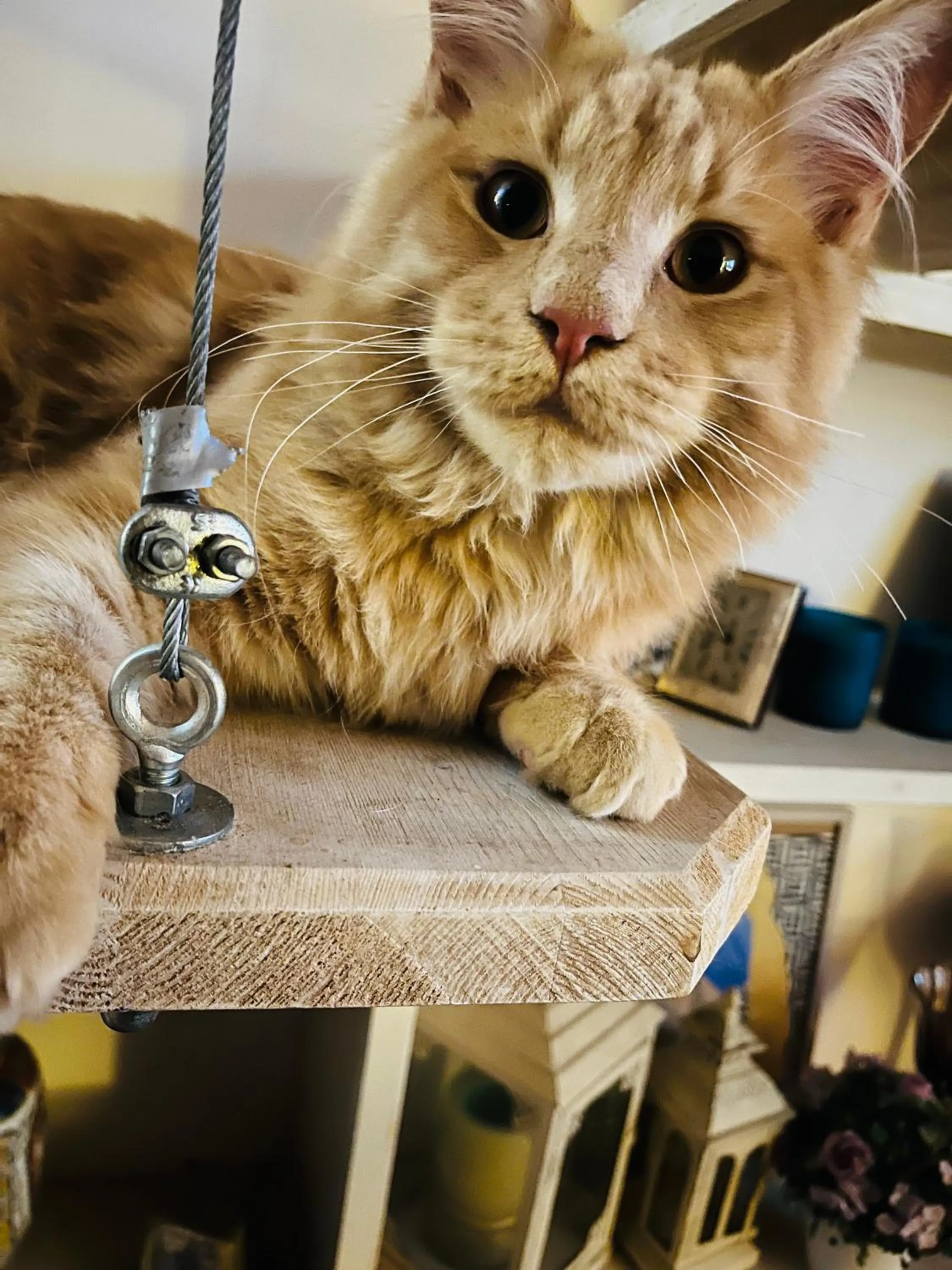 Bed&breakfast Benedetta