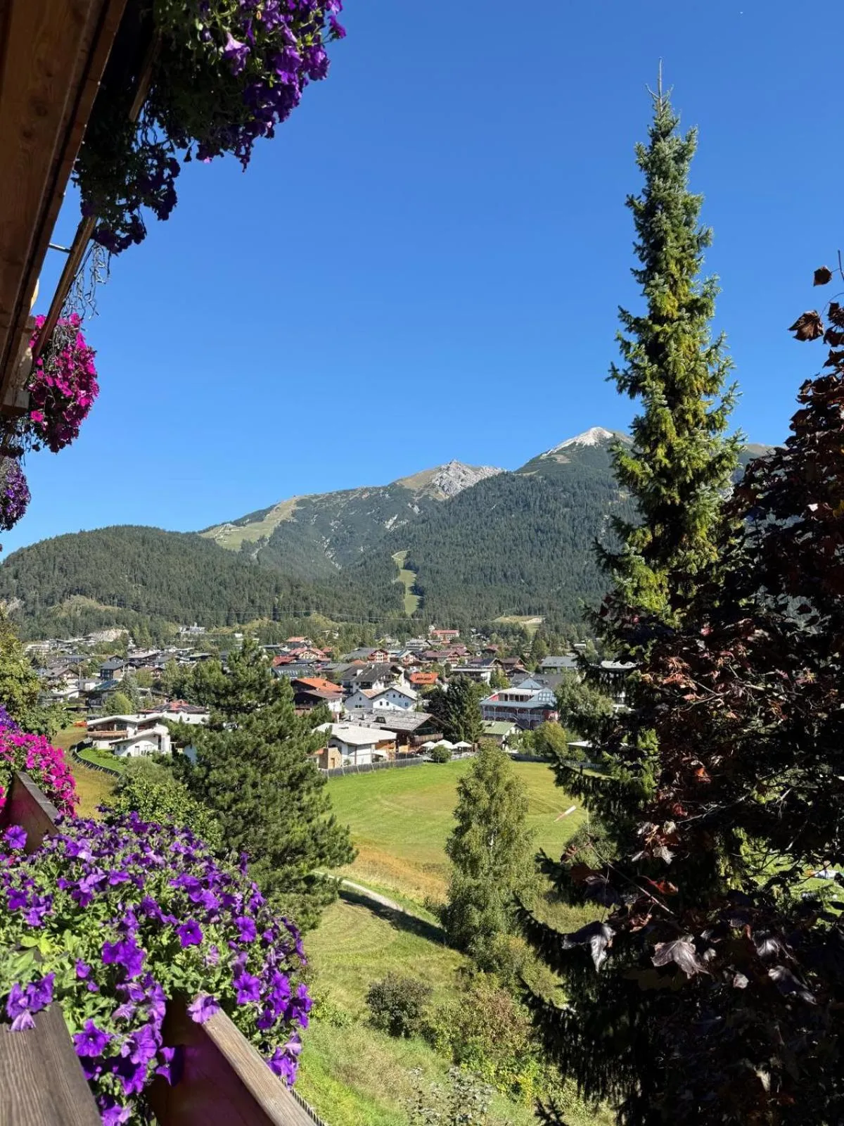 View (from property/room) in Hotel Seelos