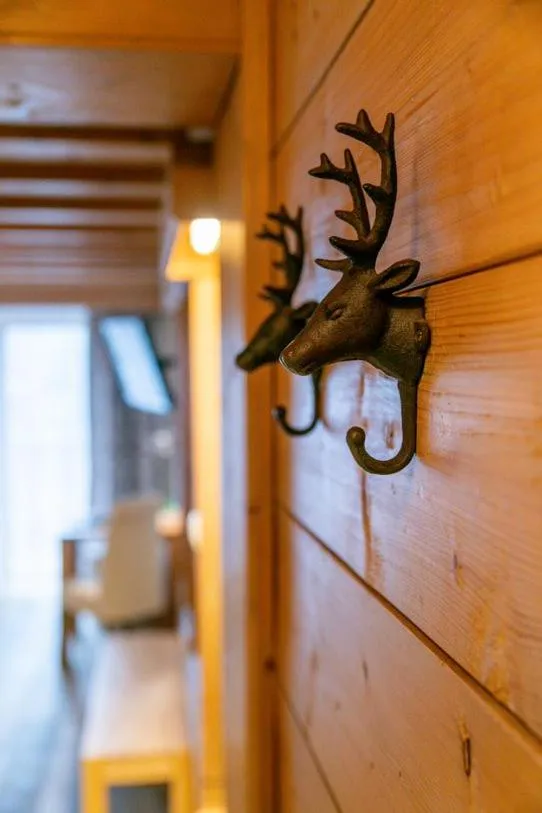 Photo of the whole room in Hotel Seelos