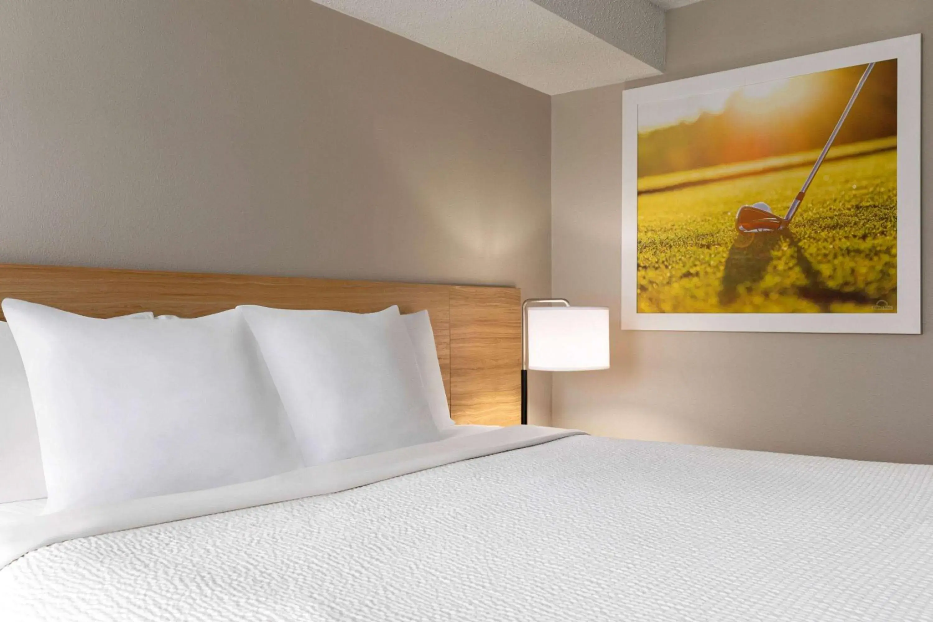 King Room - Non-Smoking in Days Inn by Wyndham Kuttawa/Eddyville King Room - Non-Smoking in Days Inn by Wyndham Kuttawa/Eddyville