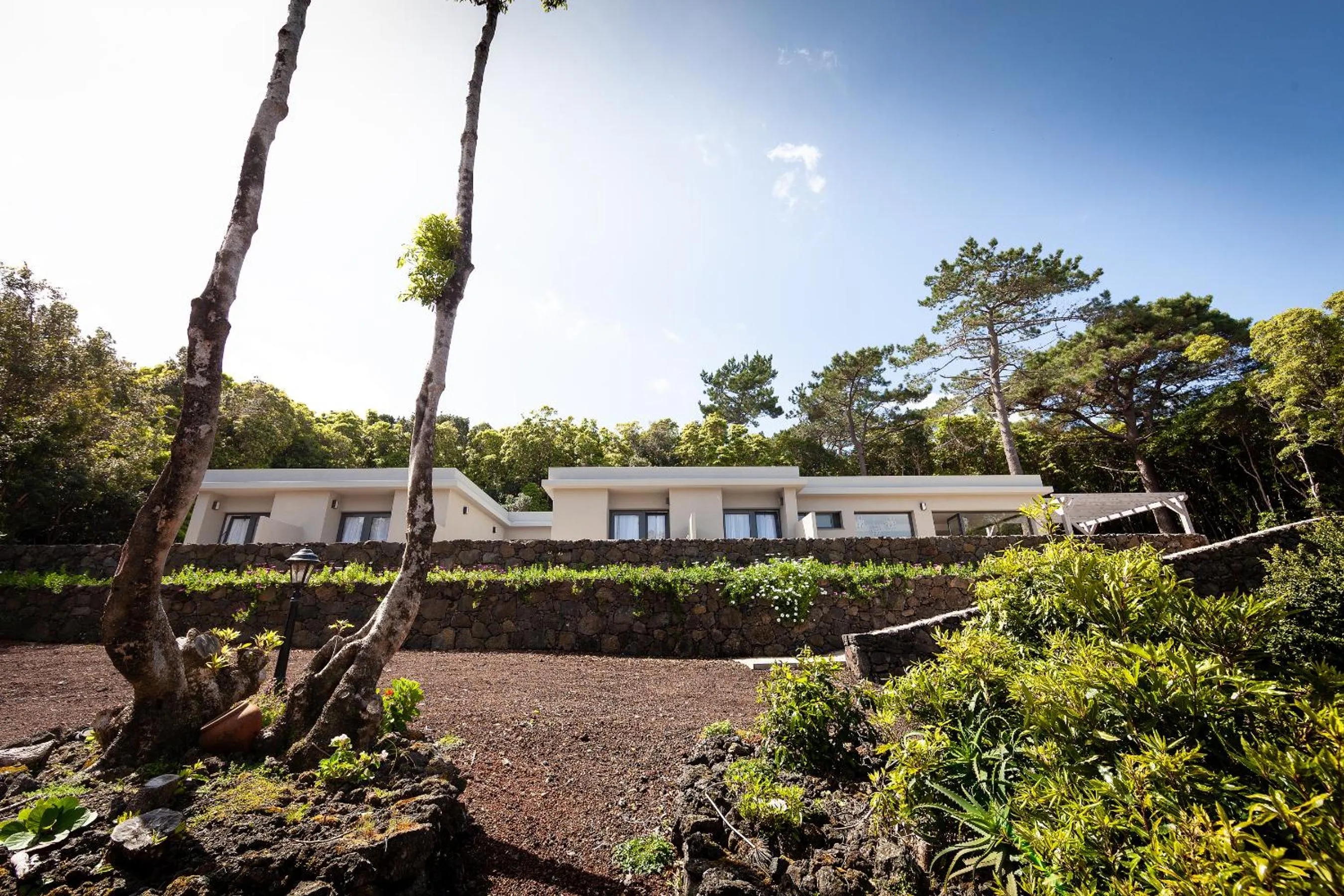 Property building in Pico Dreams