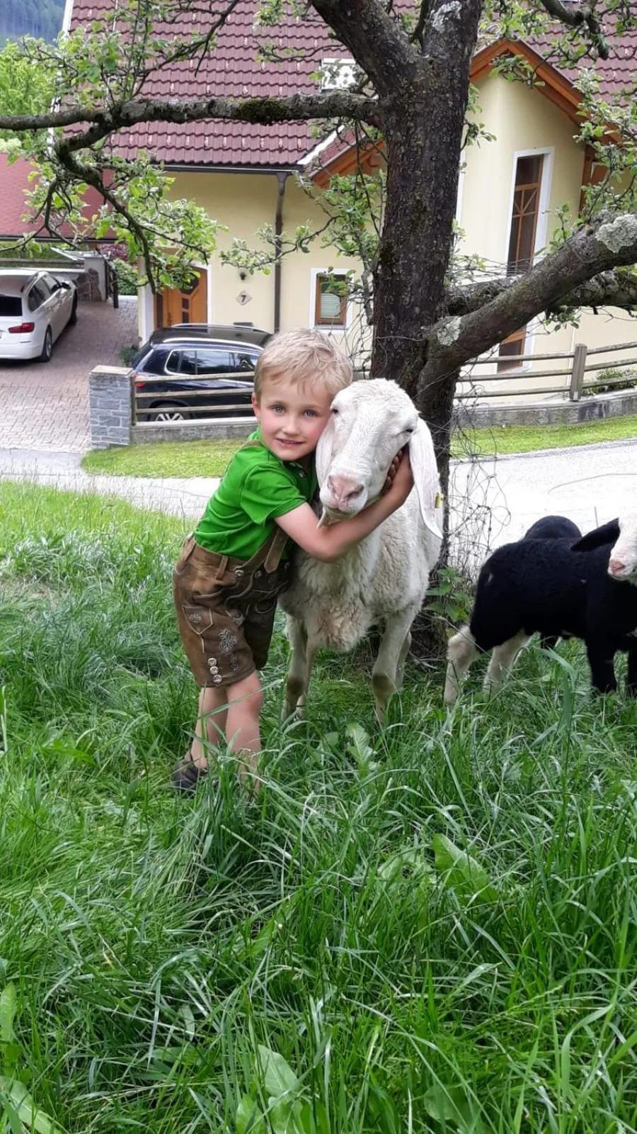 Ferienwohnungen Simonbauer