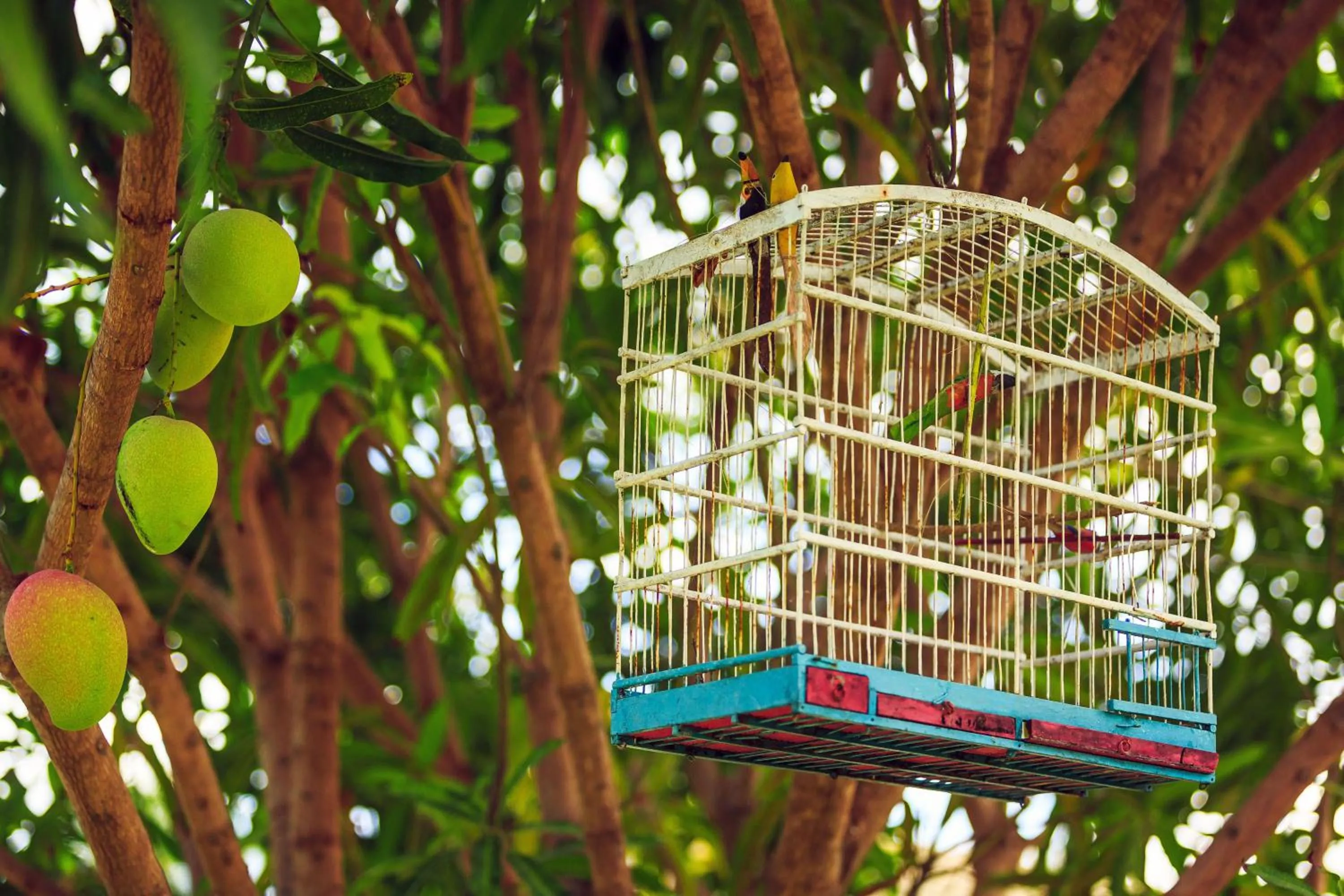 Property building in Chales Maragogi