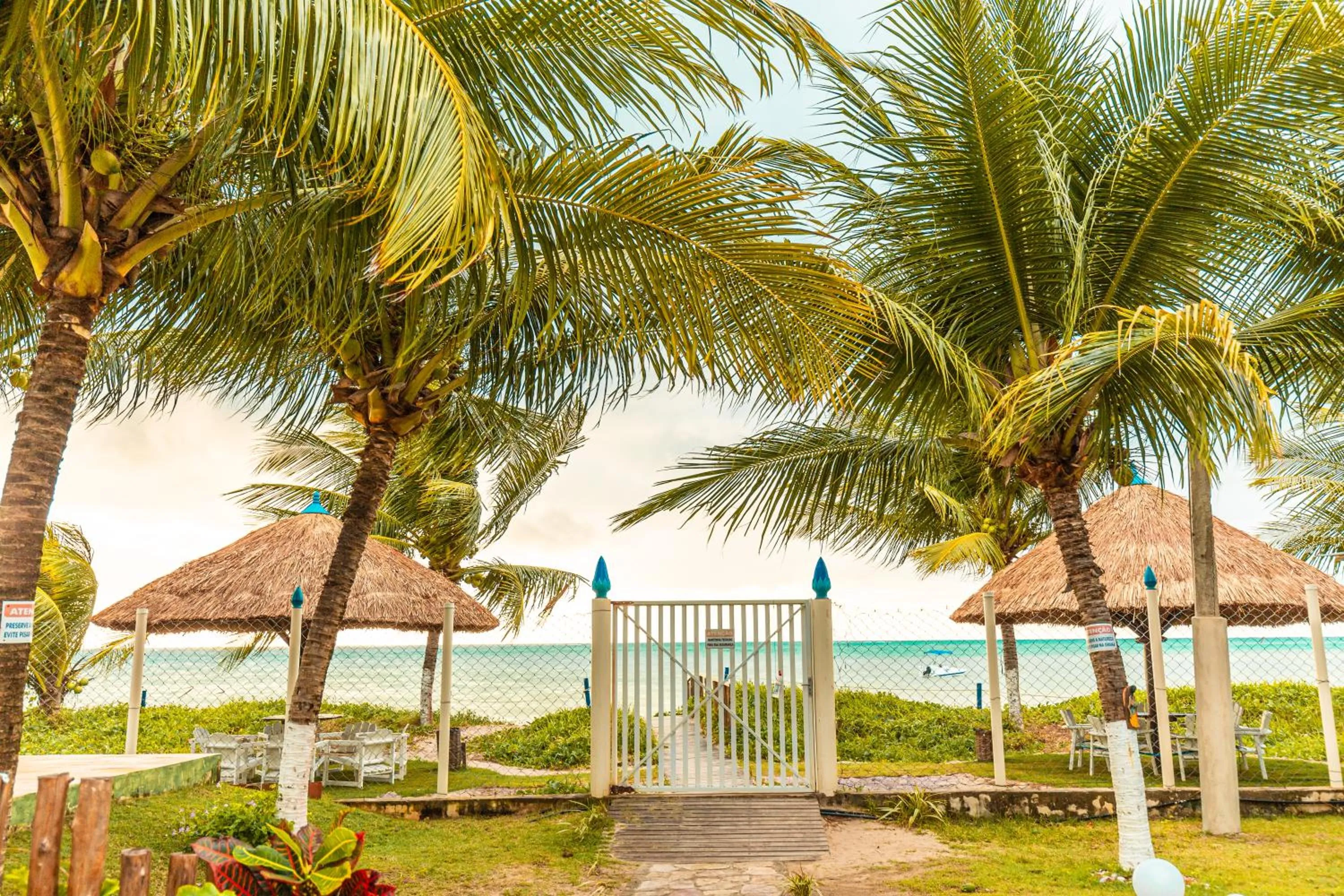 Garden in Chales Maragogi