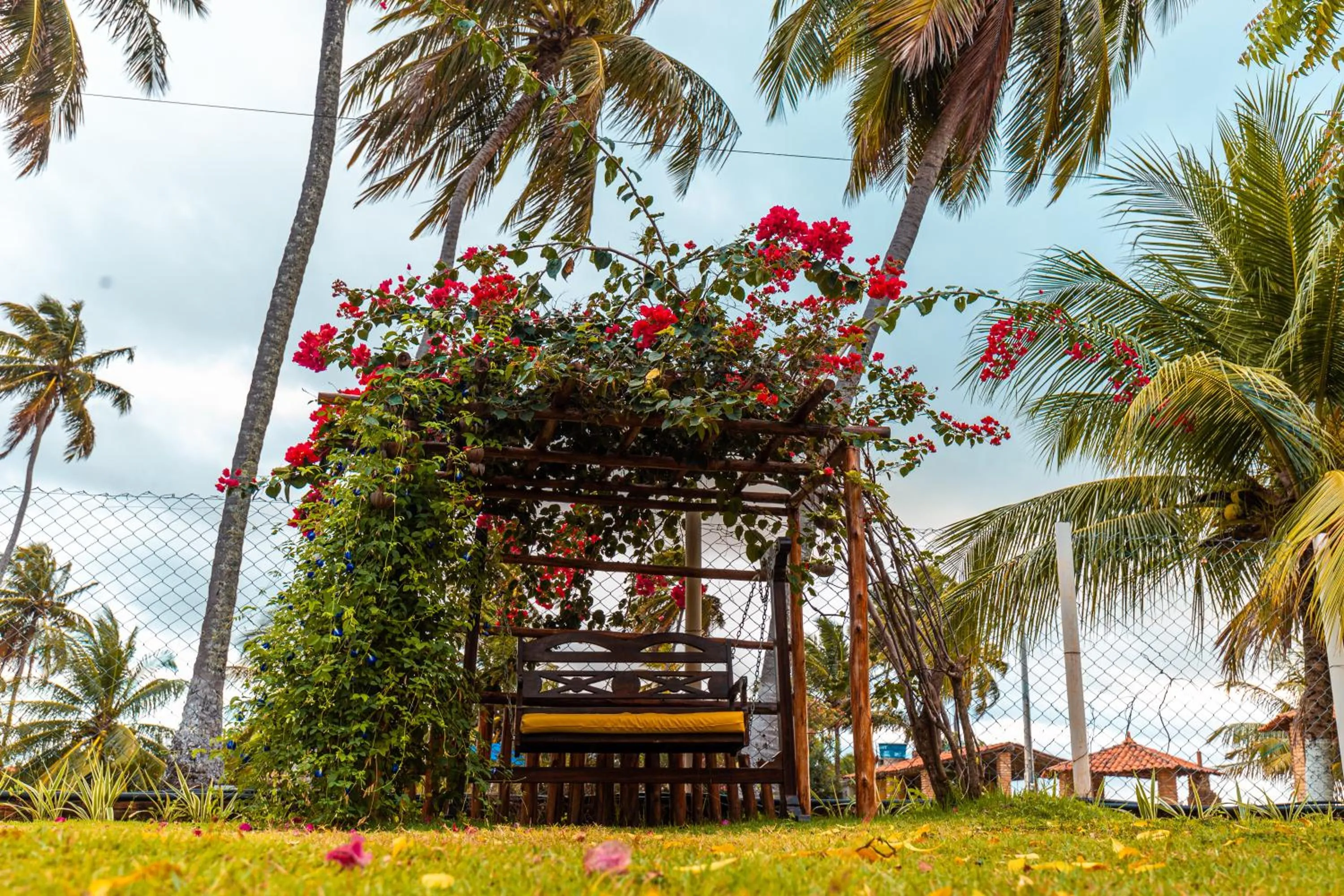 Garden in Chales Maragogi
