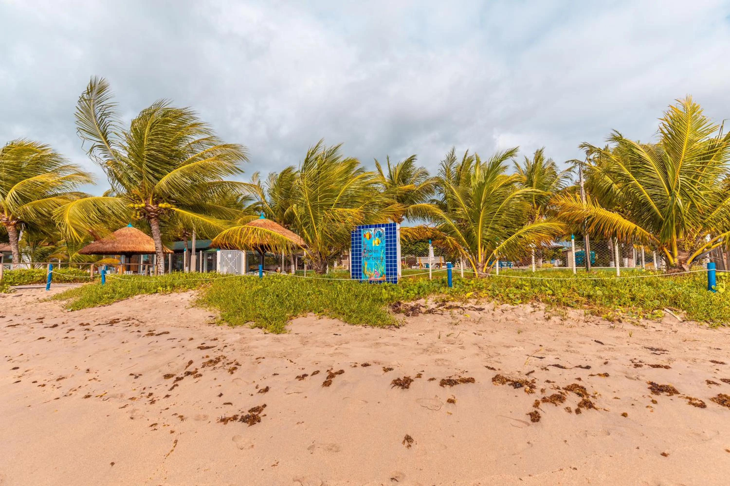 Beach in Chales Maragogi