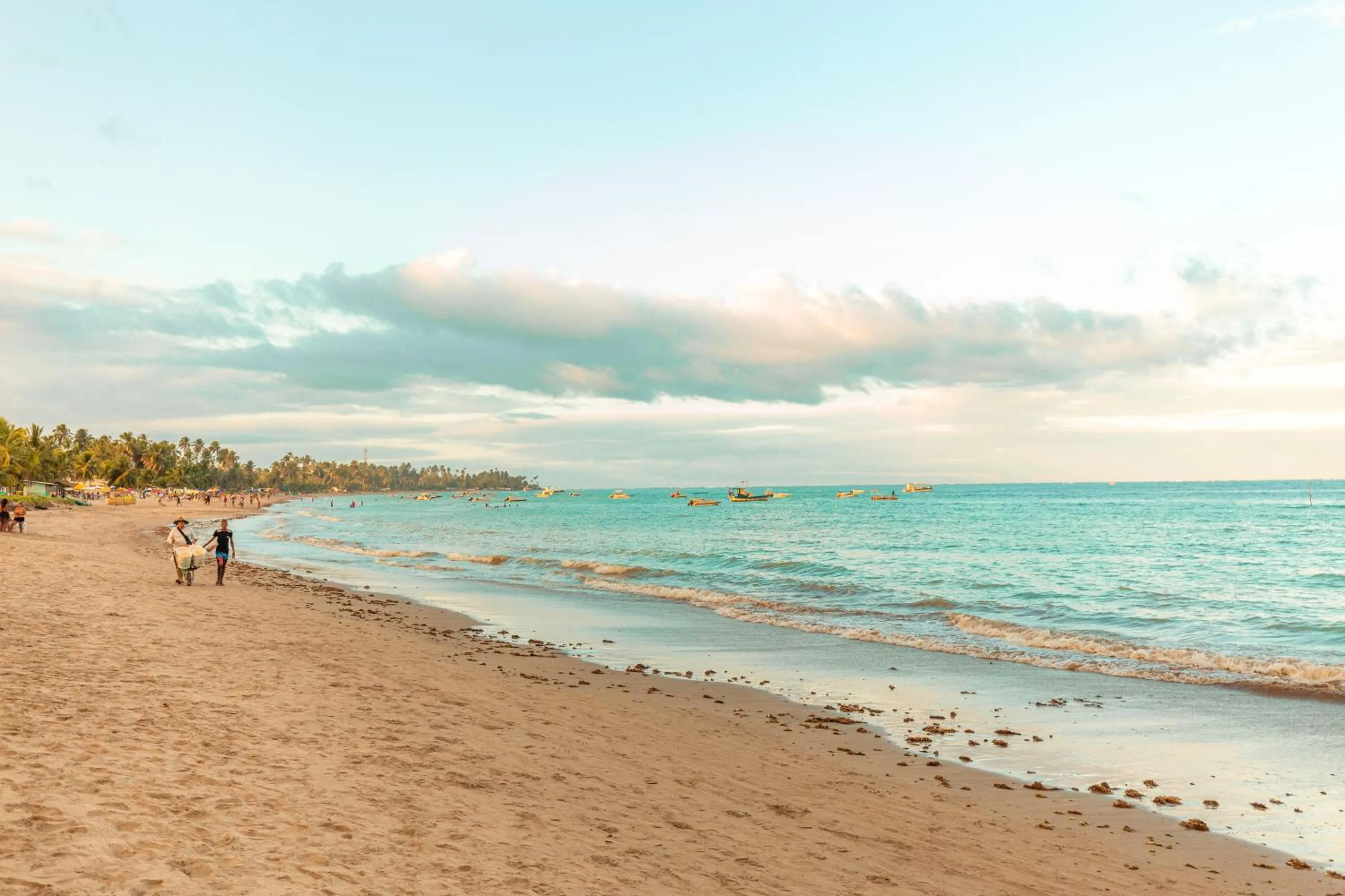 Beach in Chales Maragogi