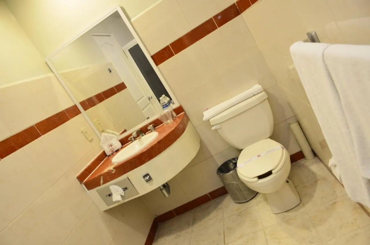 Hotel Mediterraneo Sa De Cv