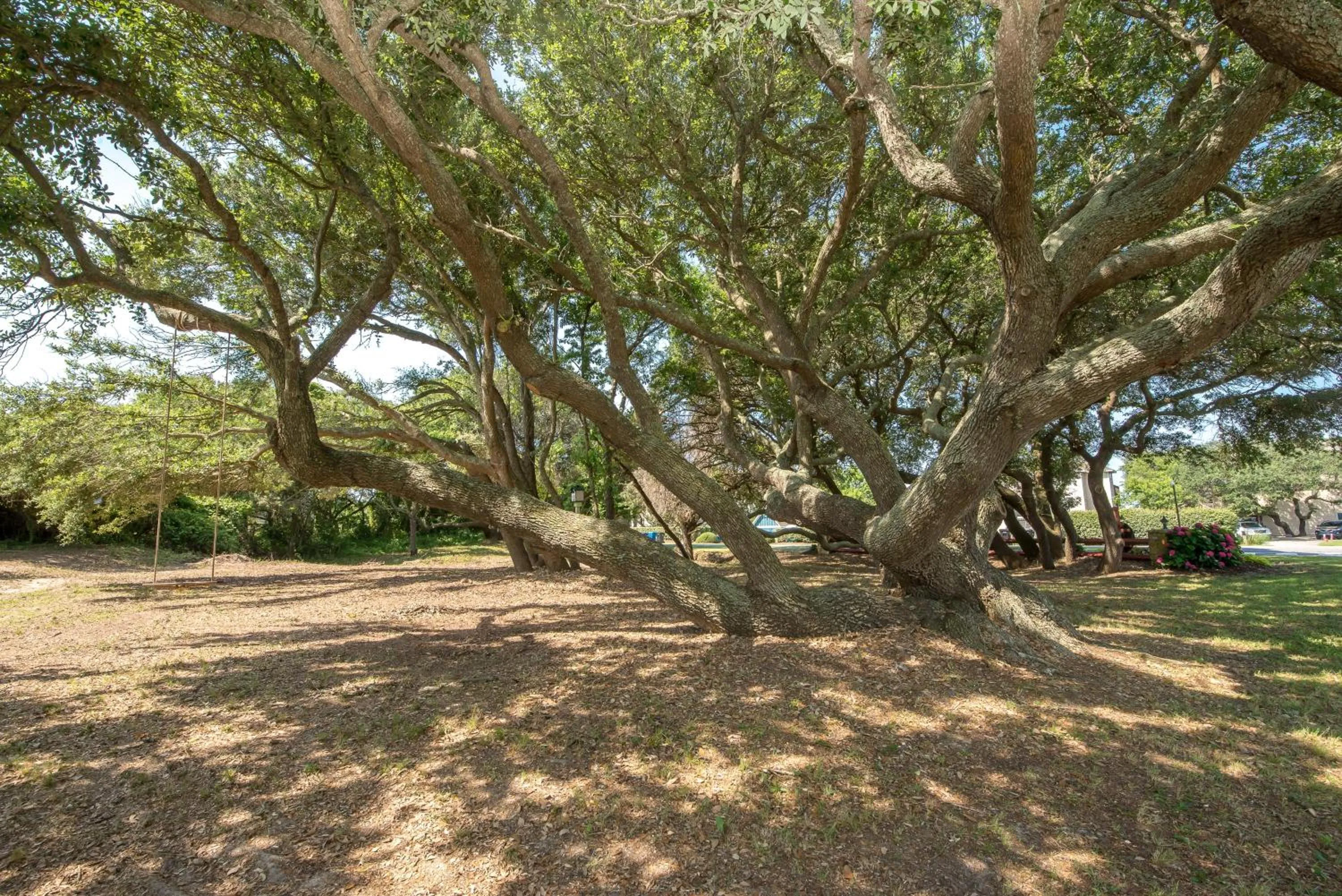Captain's Perch - Duck, Northpoint, 400 Yds to Beach, Pool, Hot Tub, Events, Flex Stays