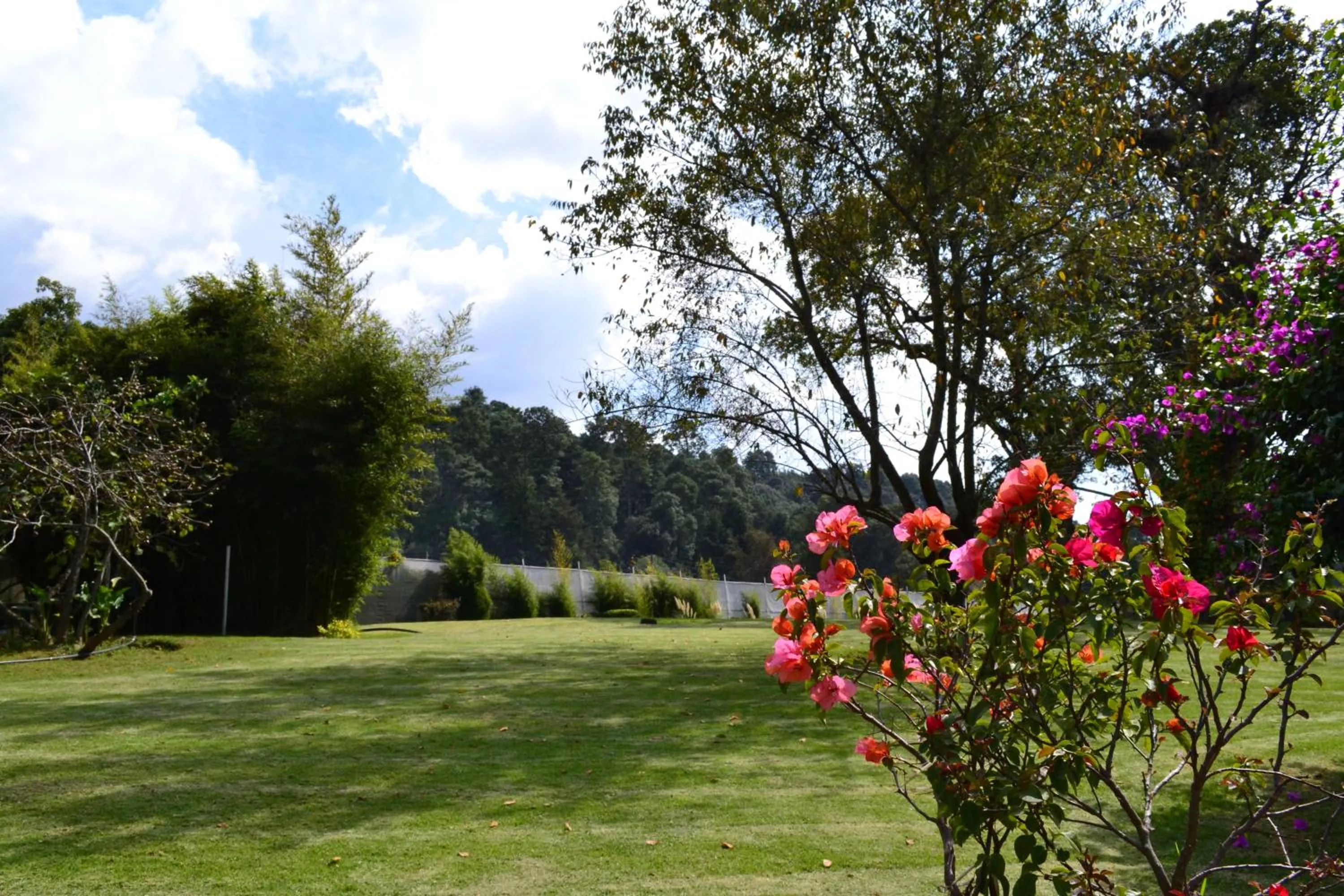 Hotel Boutique El Campirano