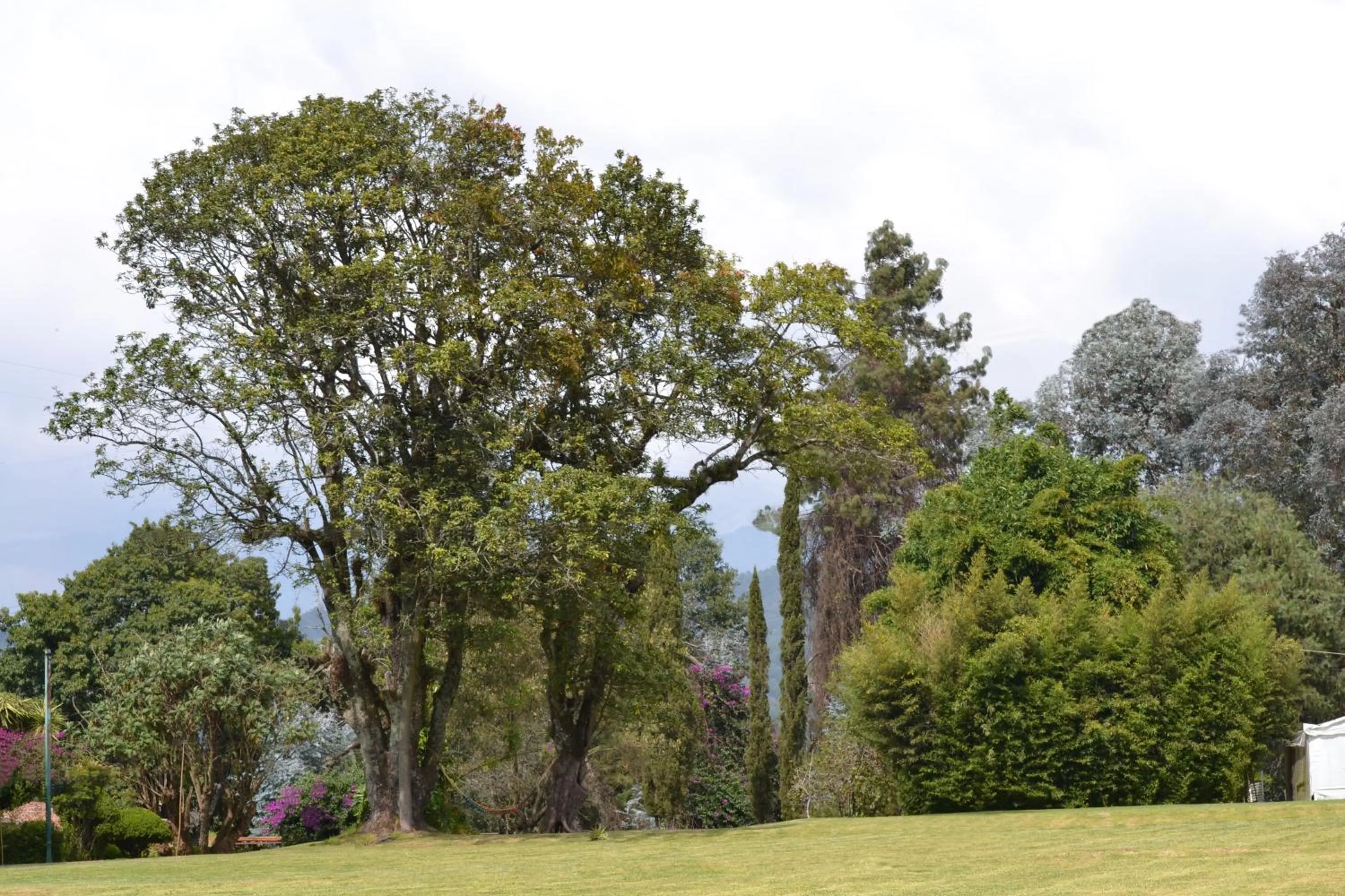 Hotel Boutique El Campirano