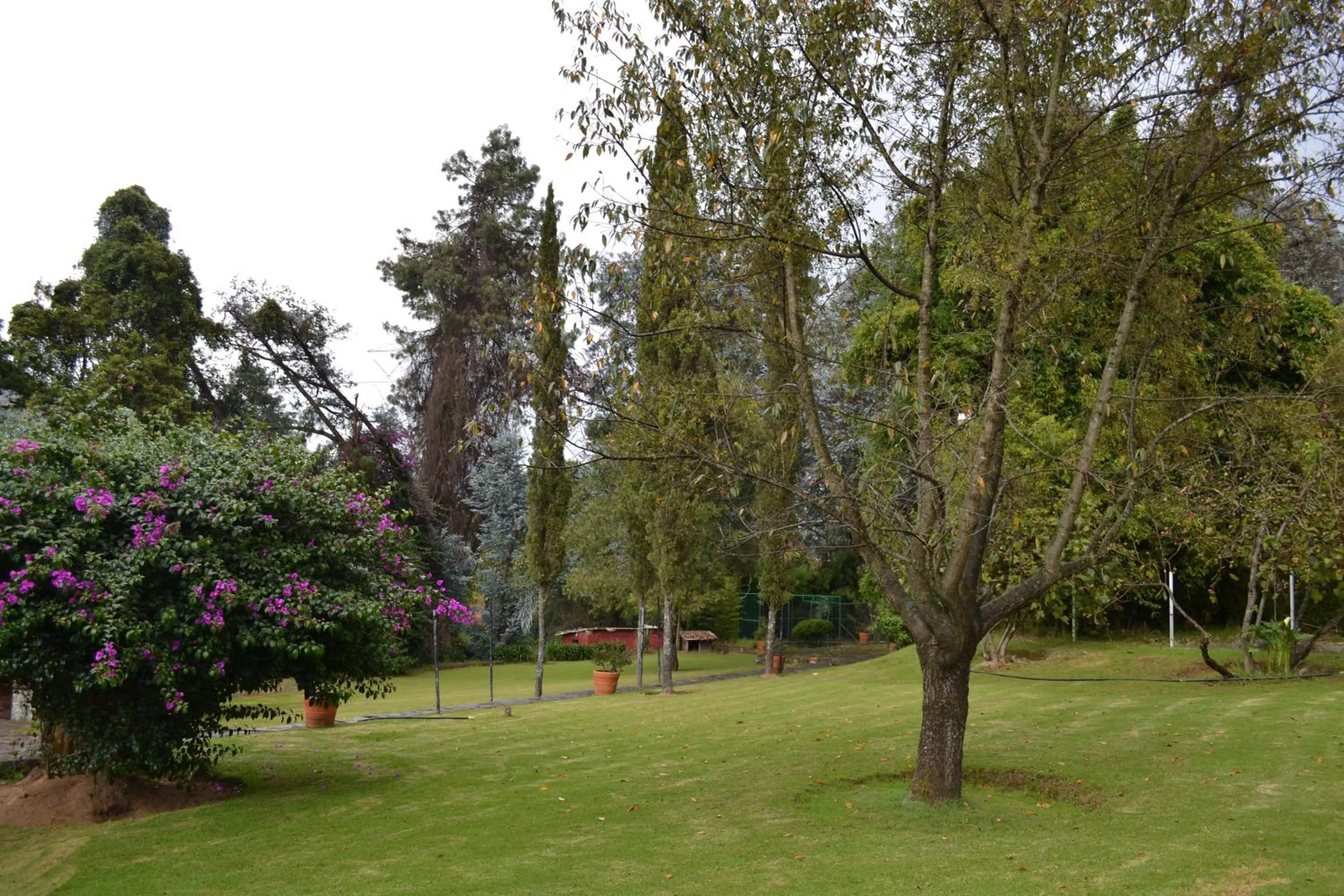 Hotel Boutique El Campirano