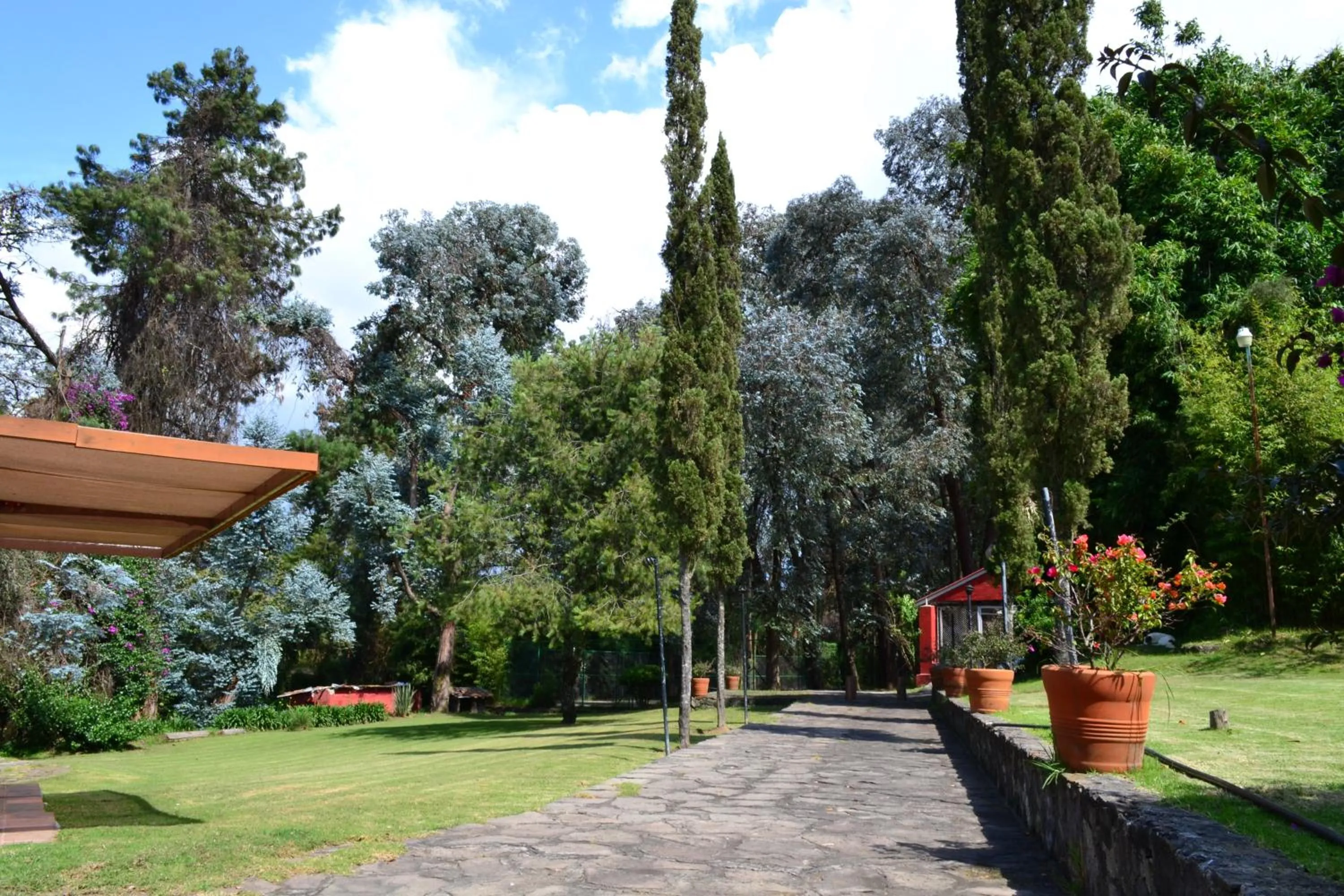 Hotel Boutique El Campirano