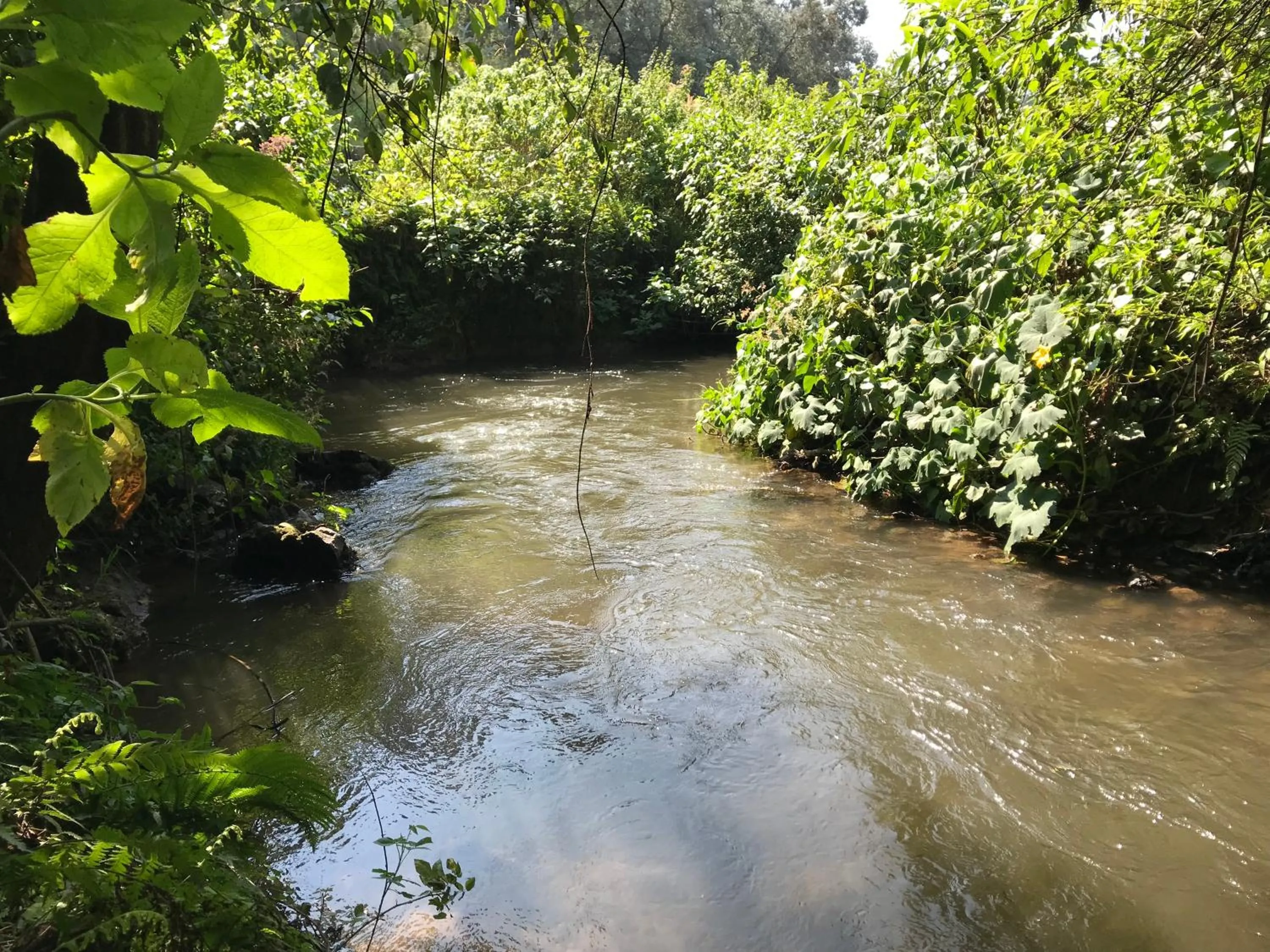 Hotel Boutique El Campirano