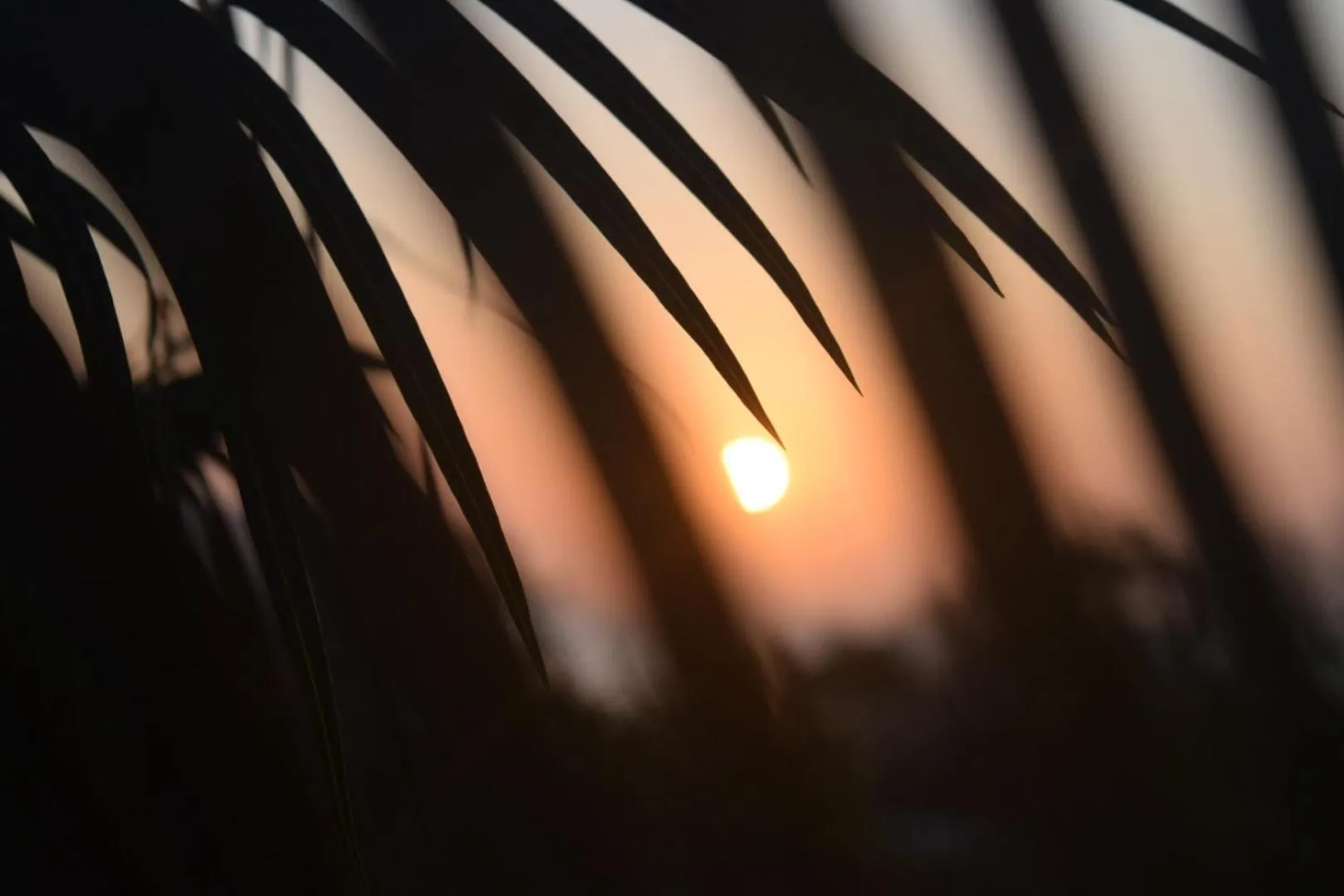 Sunrise in Hotel Kambutaleko