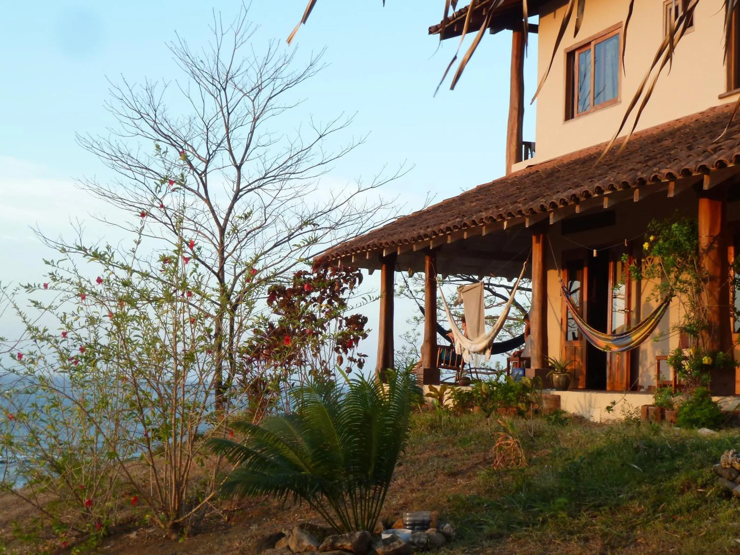 Garden in Hotel Kambutaleko