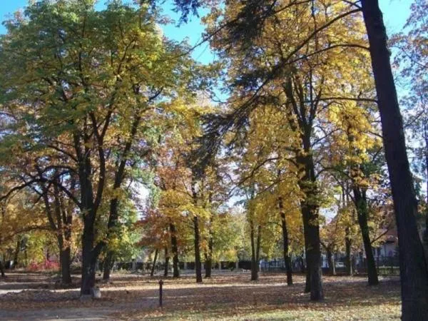 Day in Hotel Willa Park