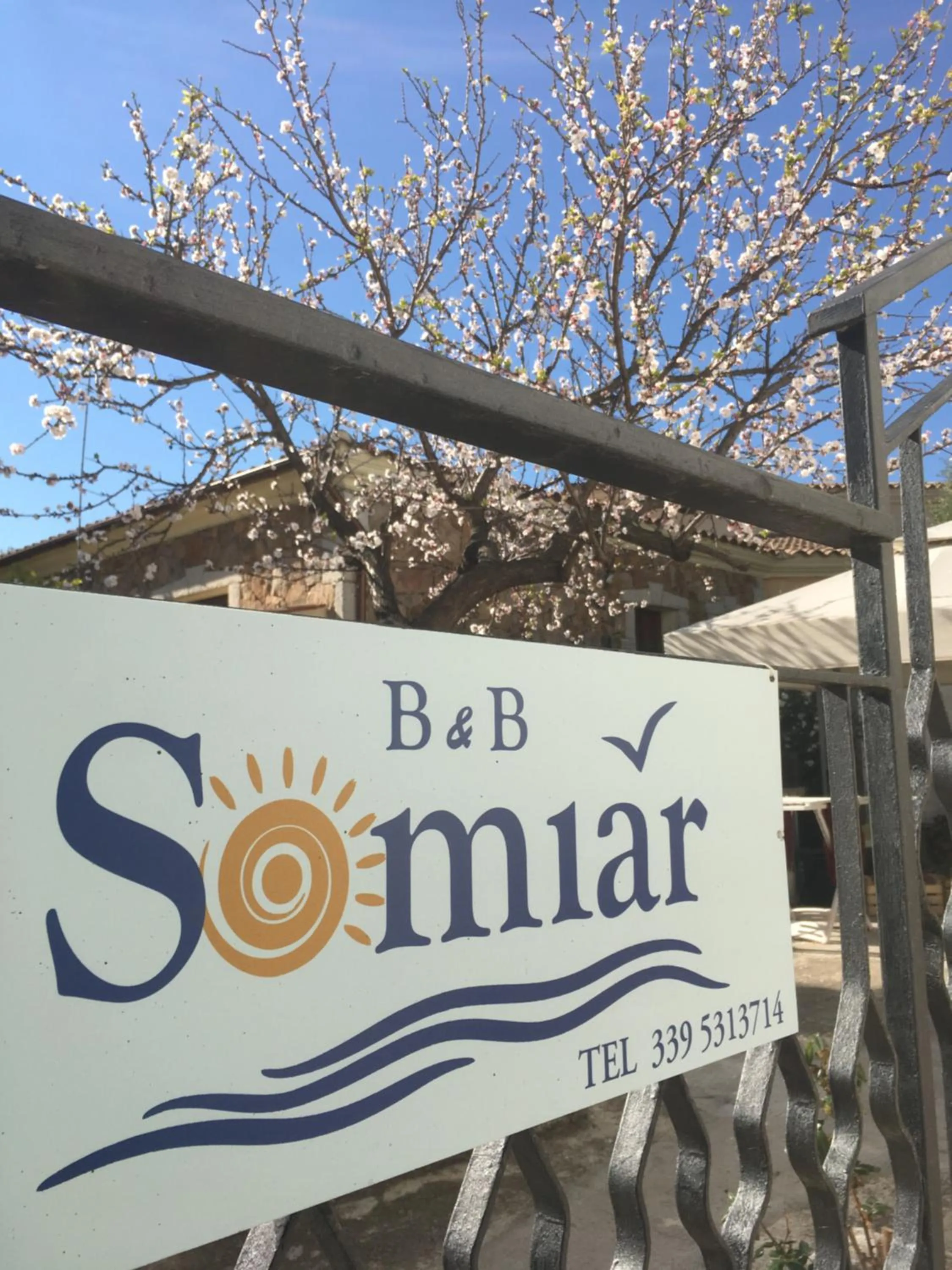B&B Somiar