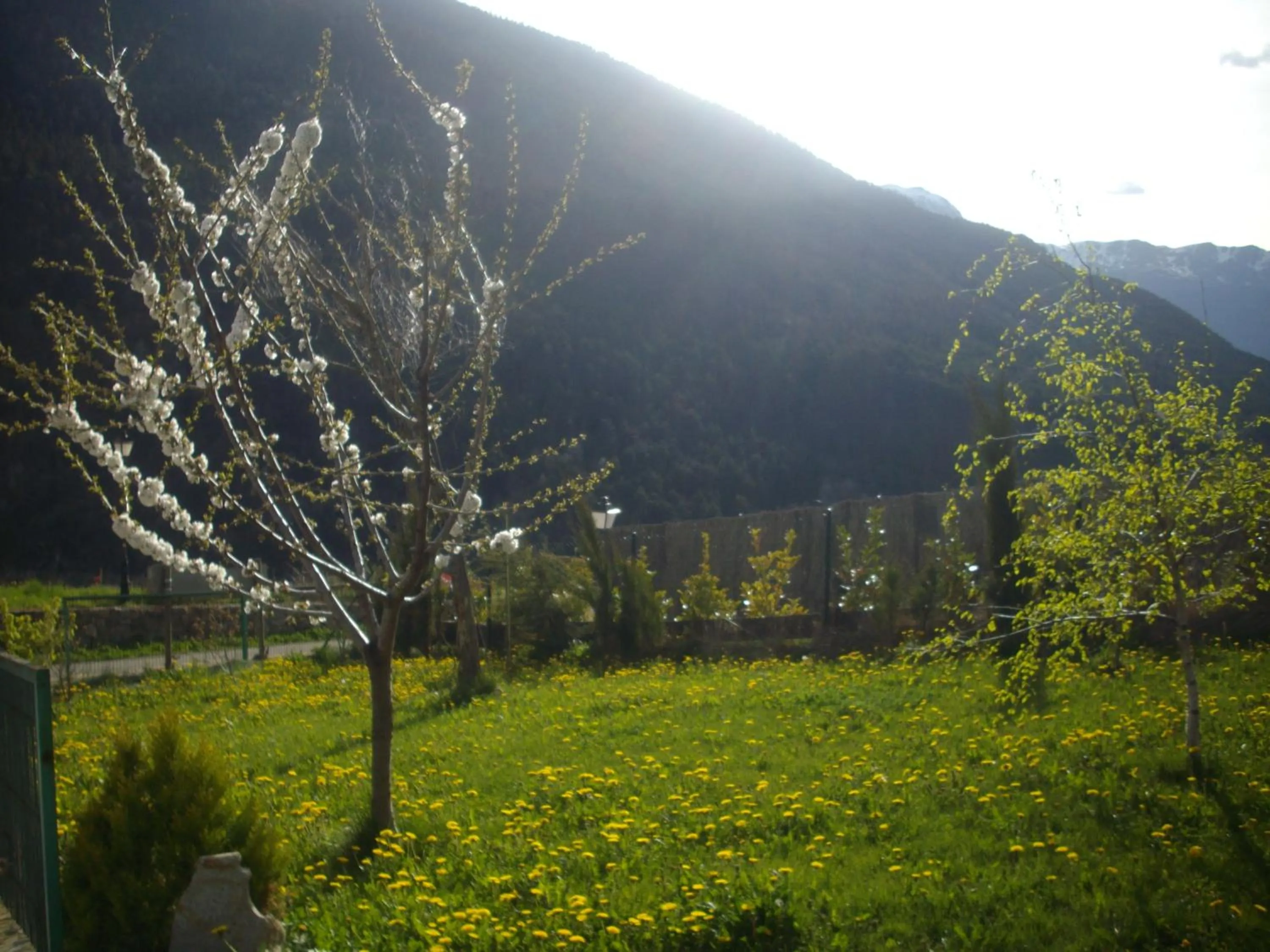 Area and facilities in Hotelet de Betlan