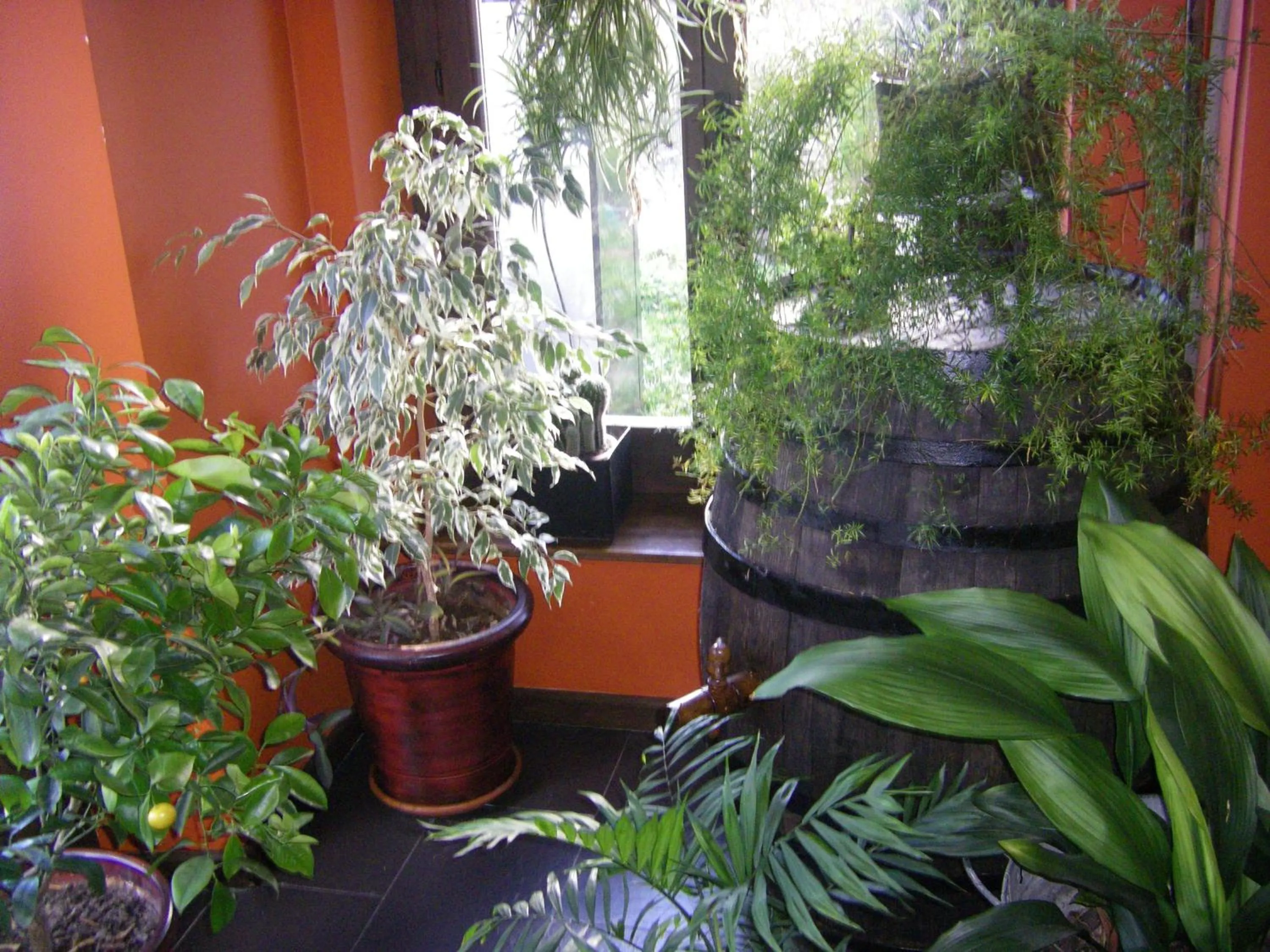 Day in Hotelet de Betlan